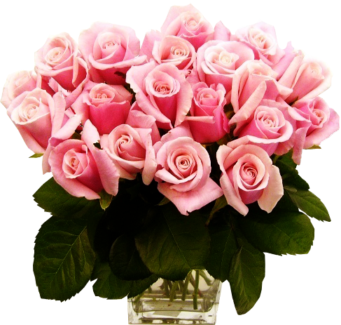 لبى الورد وانفاسه Pink_Roses_Transpare لبى الورد وانفاسه Pink_Roses_Transpare