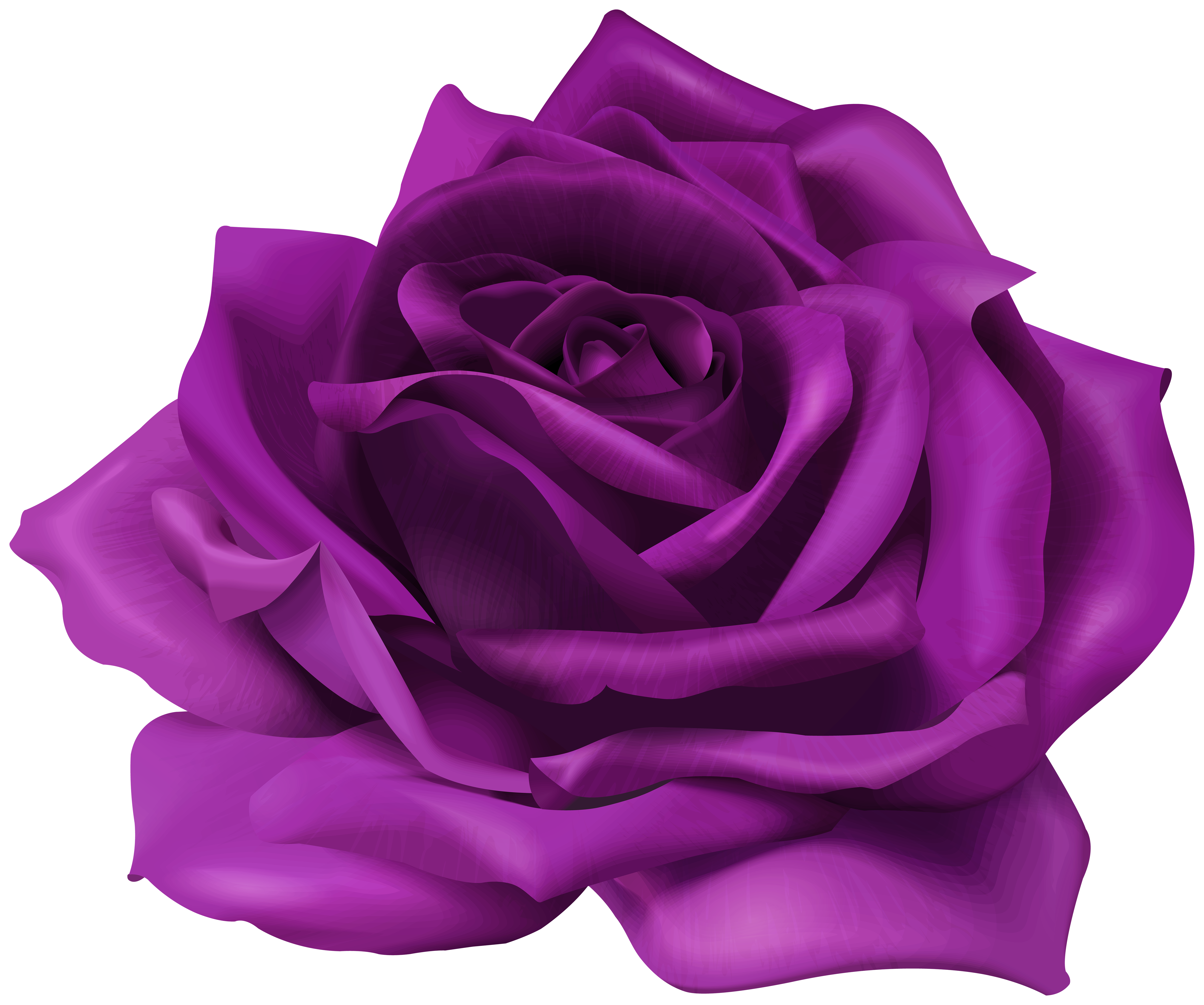 Purple Flower Rose Transparent Image | Gallery ...