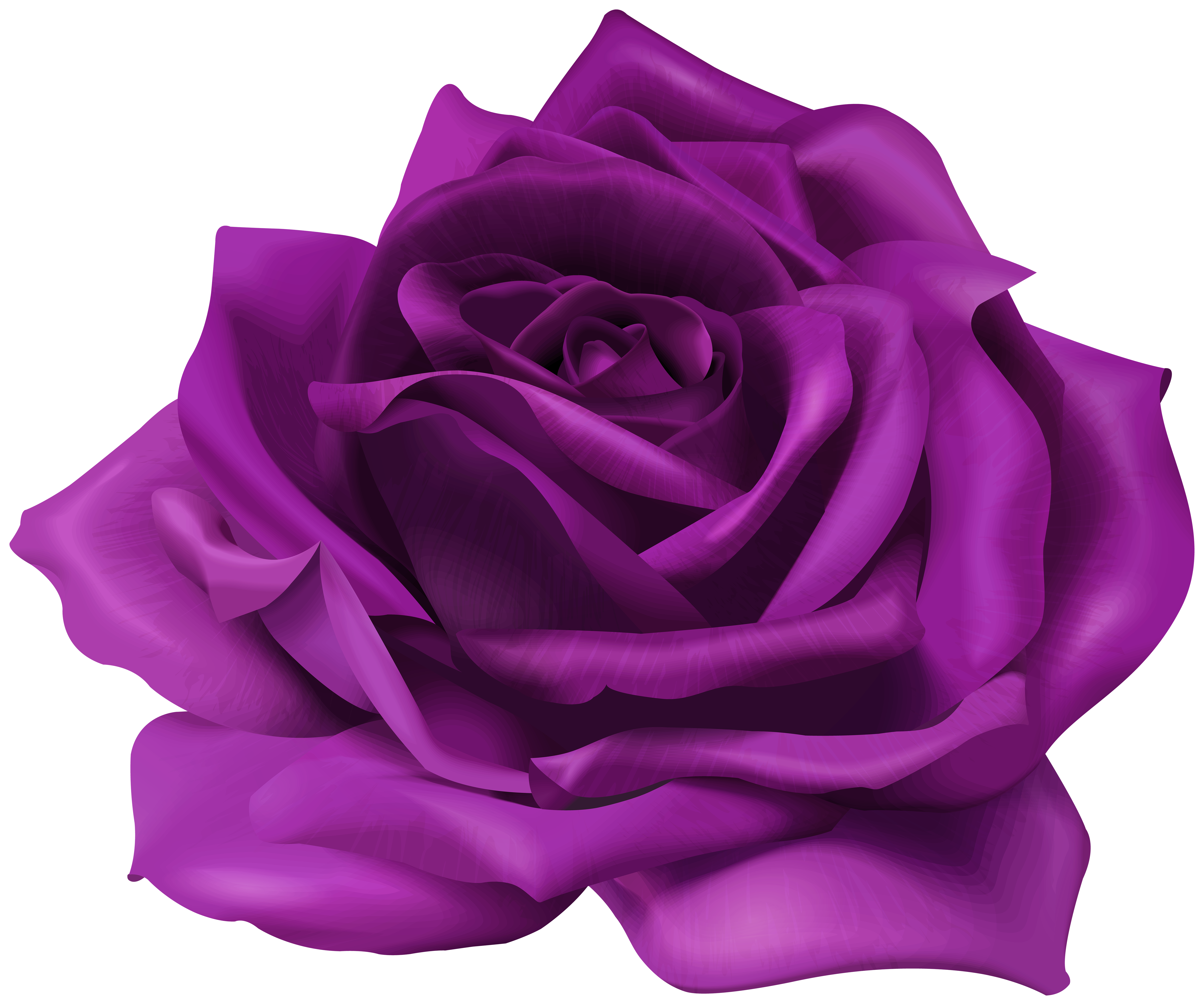 Free Free 170 Transparent Background Purple Flower Svg SVG PNG EPS DXF File