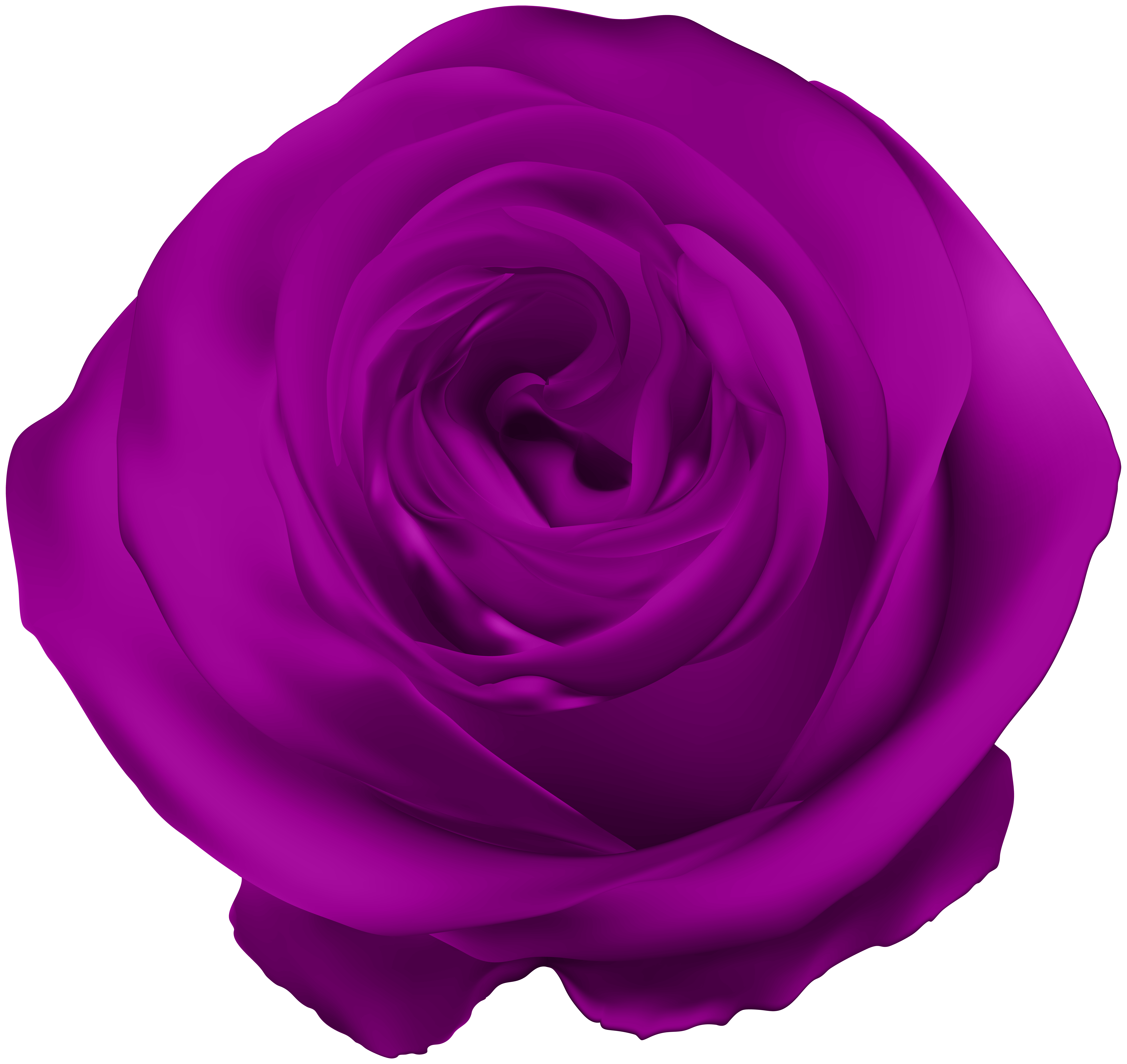 purple rose png clip art gallery yopriceville high quality