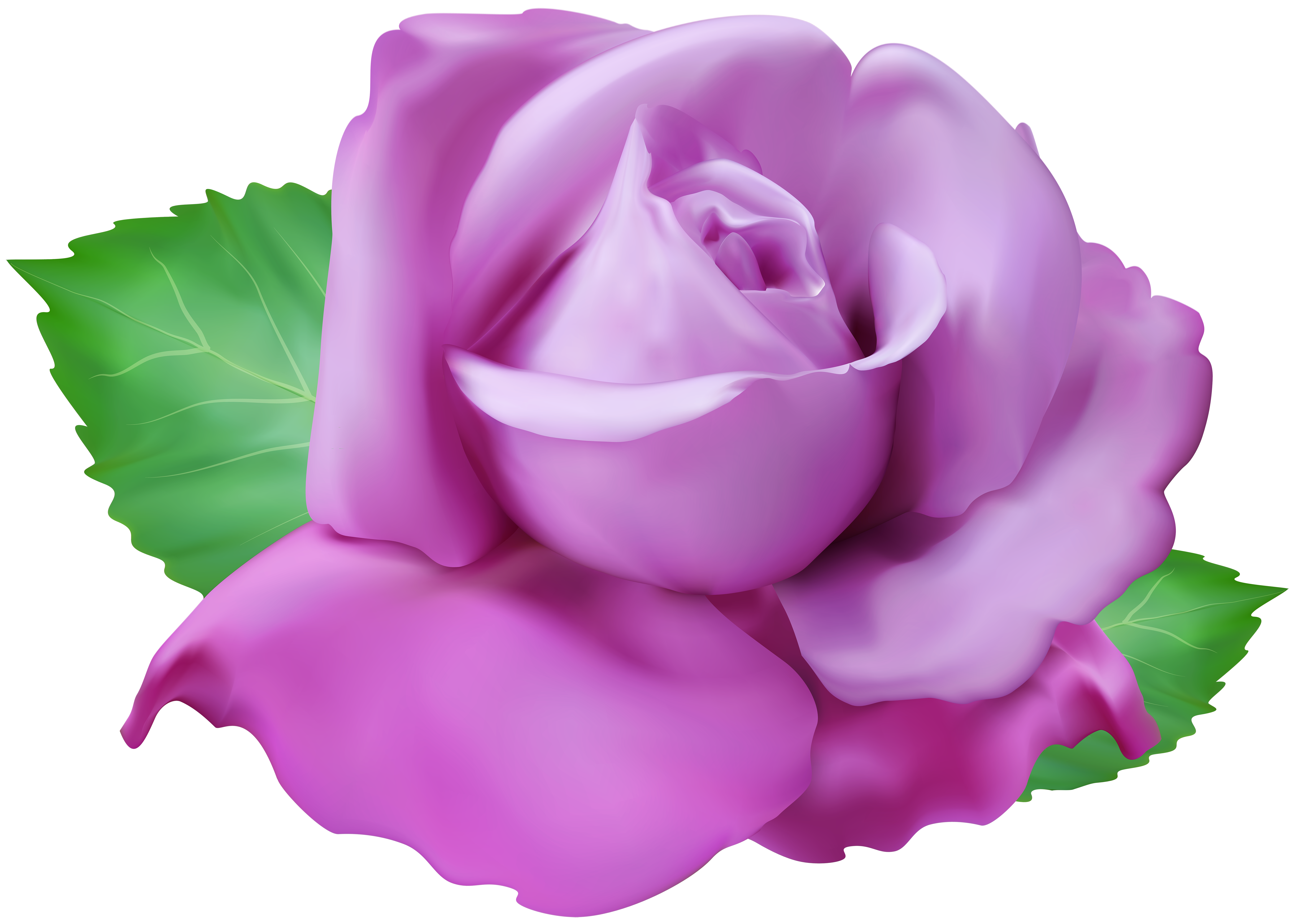 purple-rose-png-clip-art-transparent-image-gallery-yopriceville