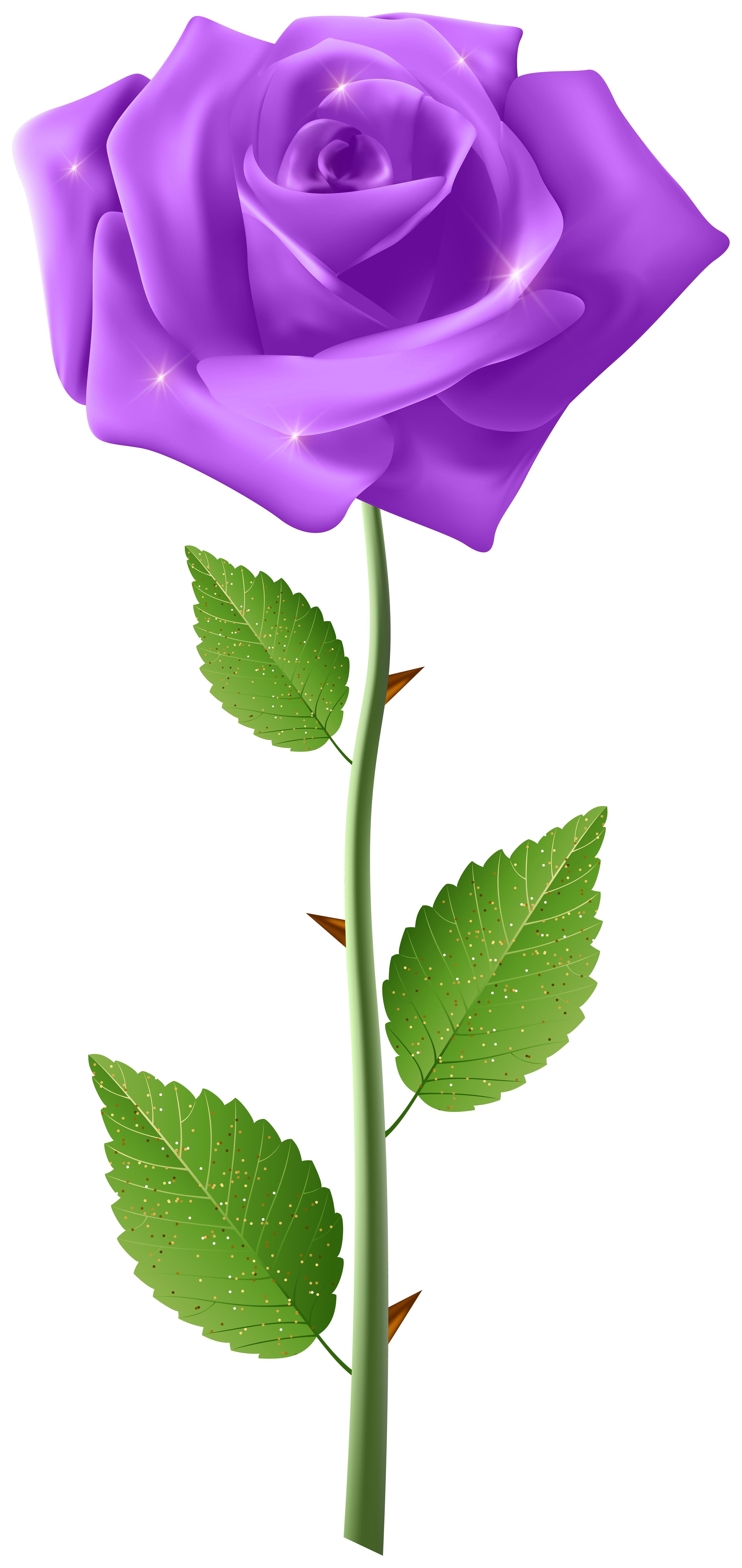 purple cartoon rose