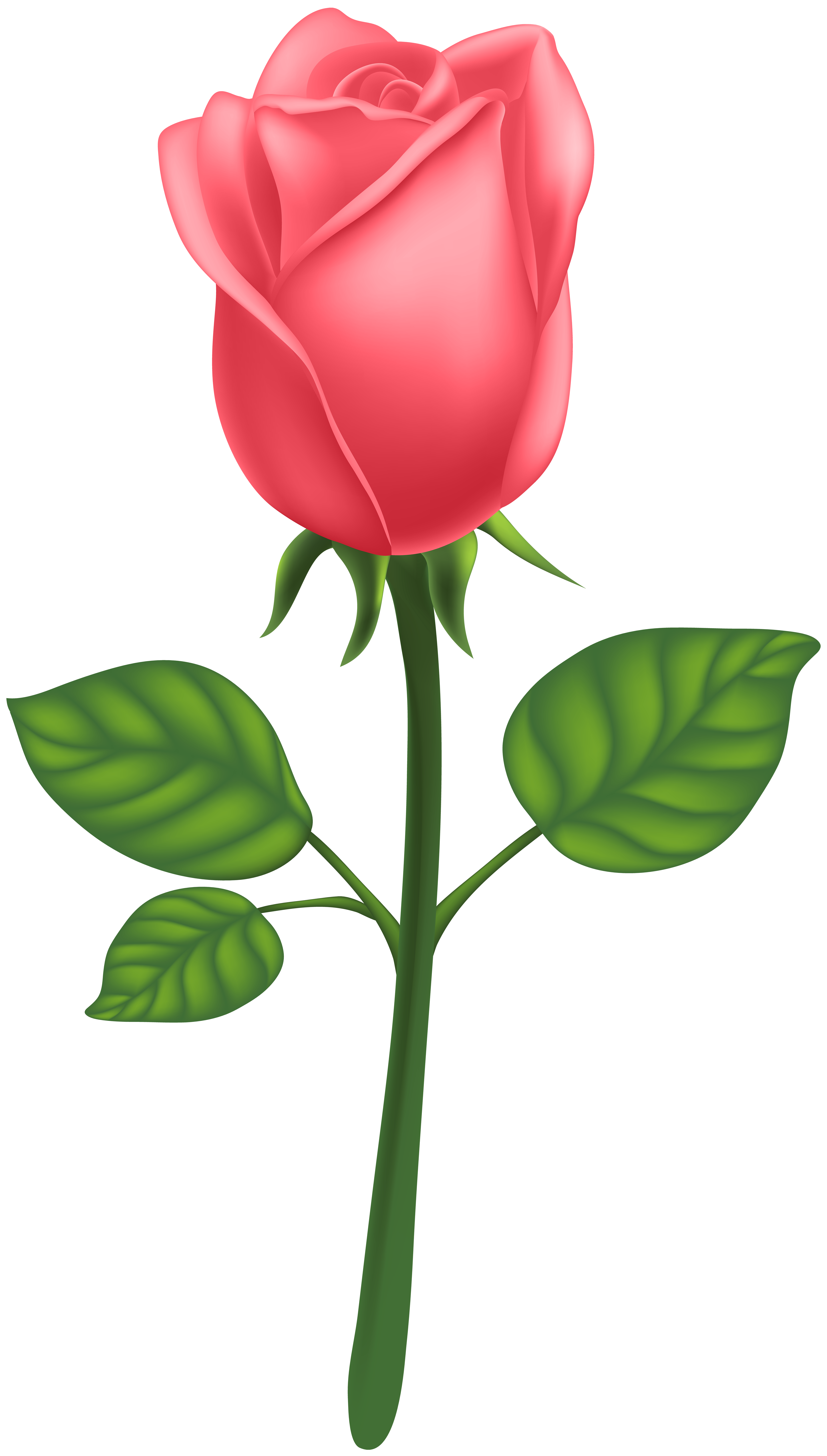 Red Deco Rose PNG Clip Art Image | Gallery Yopriceville - High-Quality ...