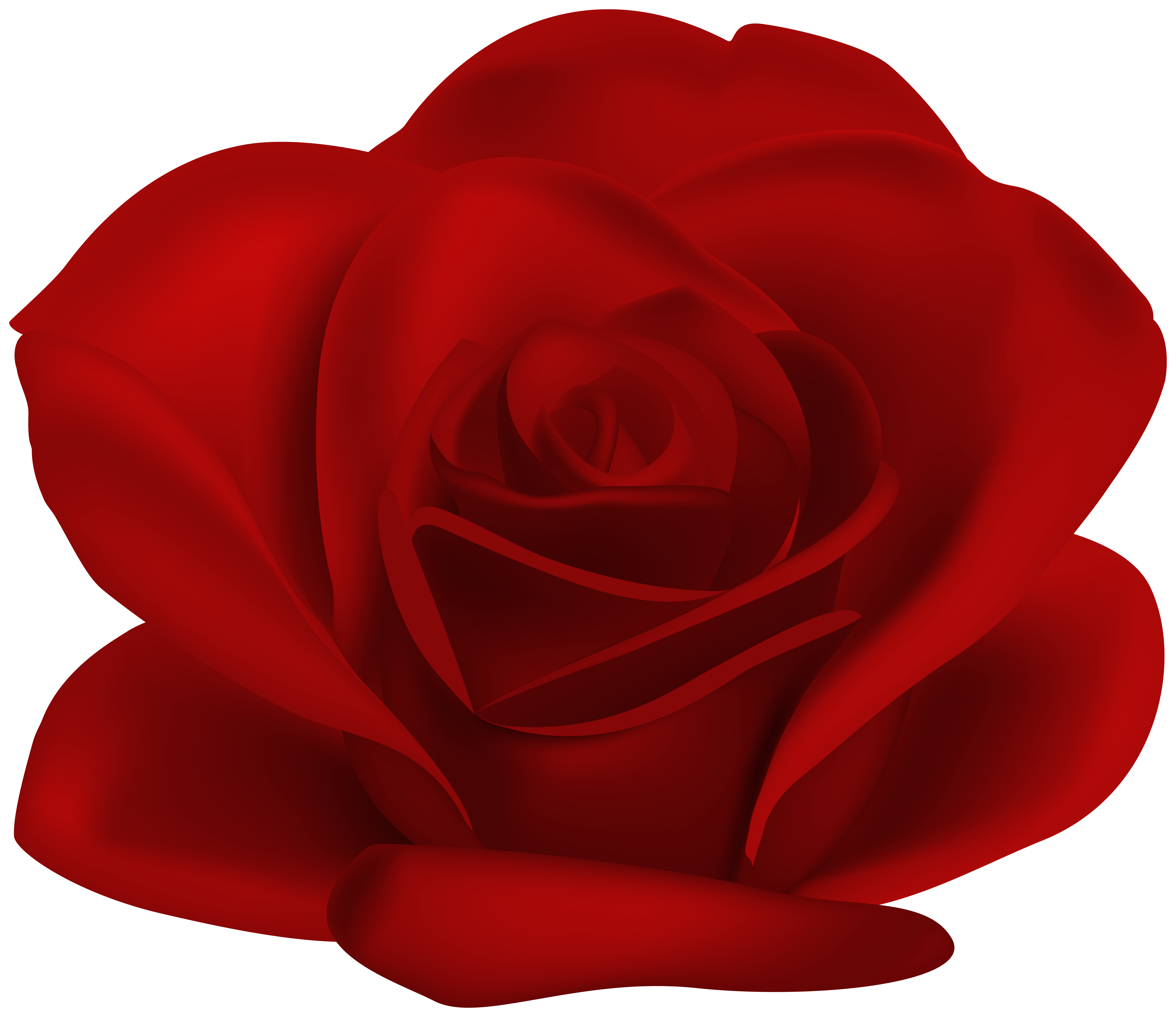 Red Flower Rose Transparent Image | Gallery Yopriceville - High-Quality ...
