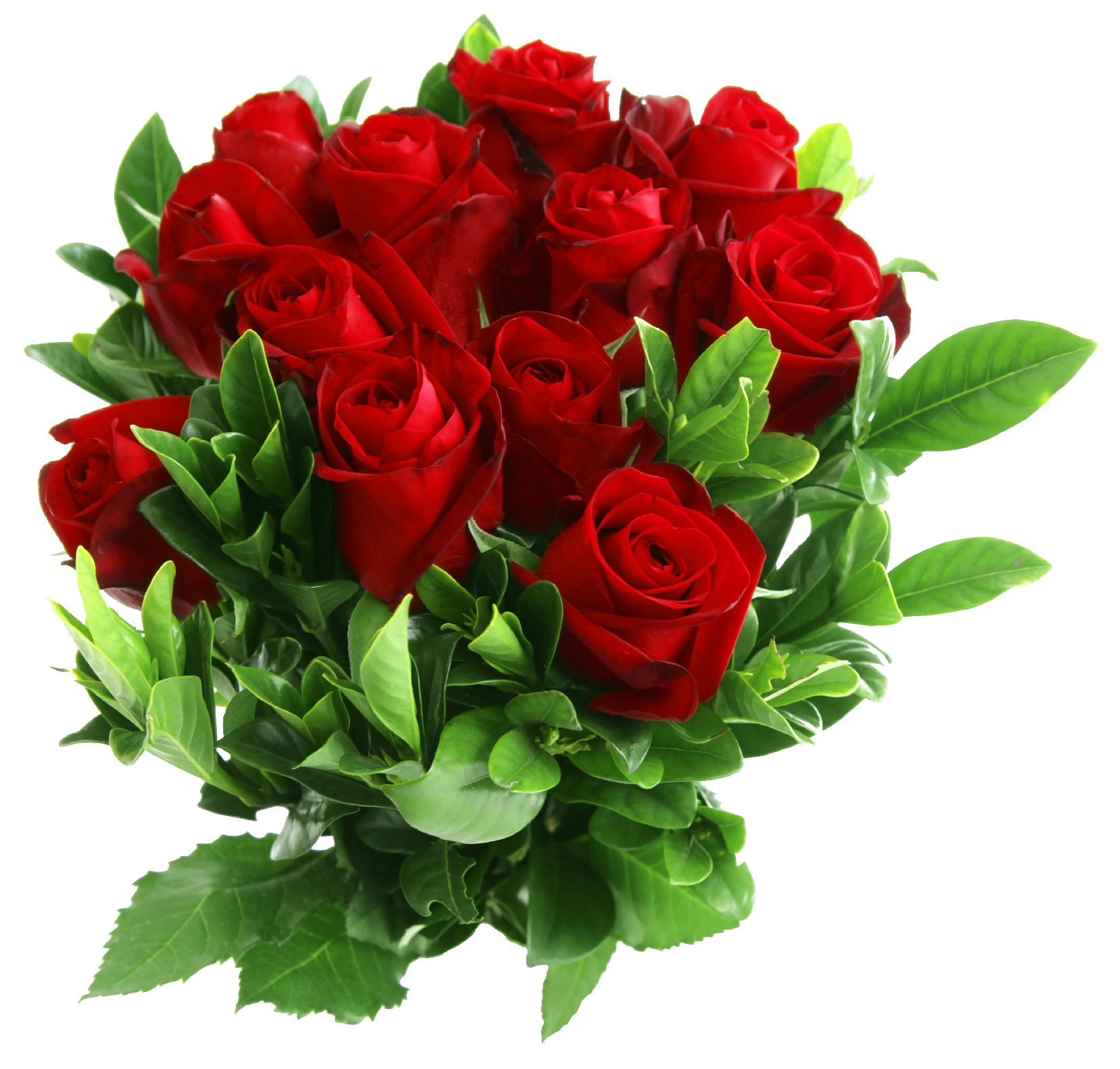 Rose Flower Images Png - Download ROSE Free PNG transparent image and ...