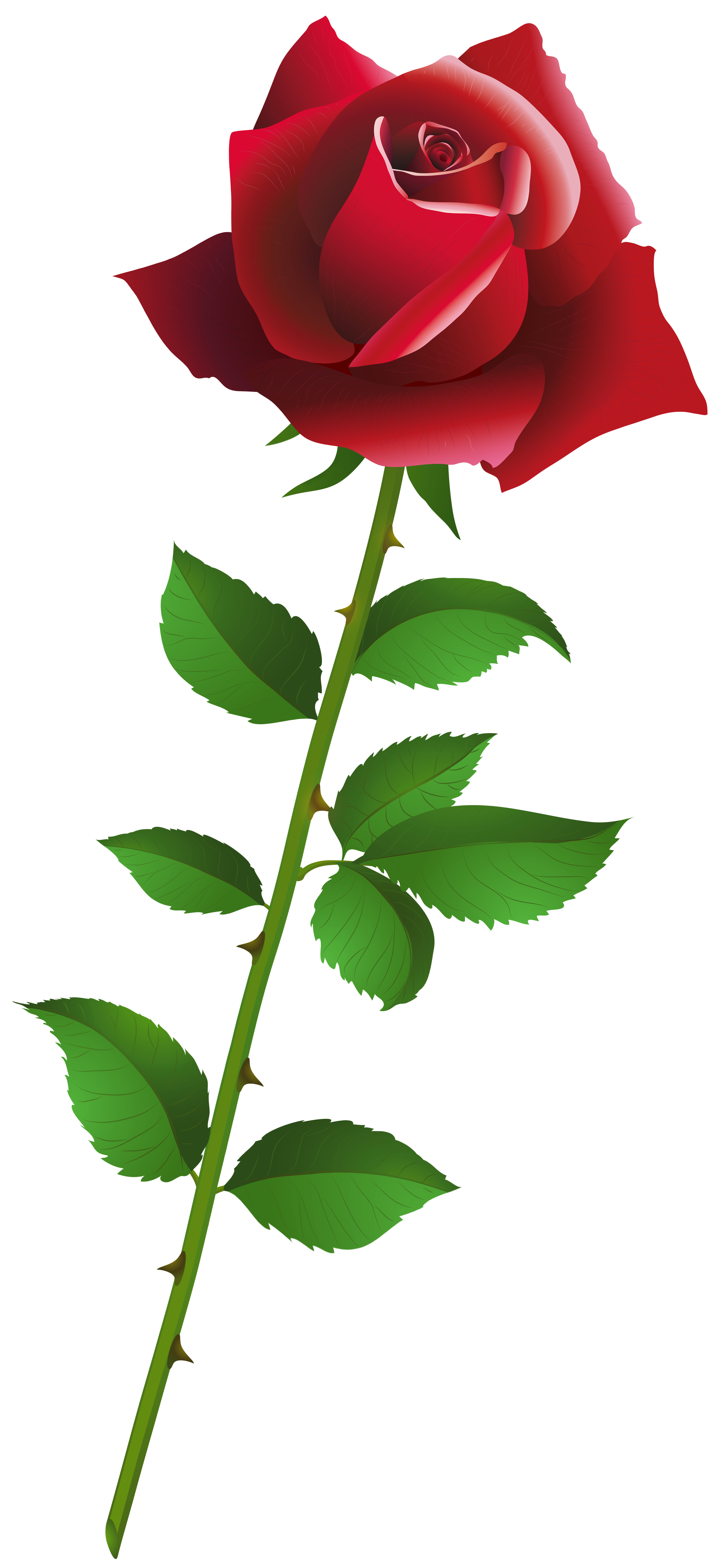 Red Rose Cartoon Style PNG Clipart​ | Gallery Yopriceville - High-Quality  Free Images and Transparent PNG Clipart