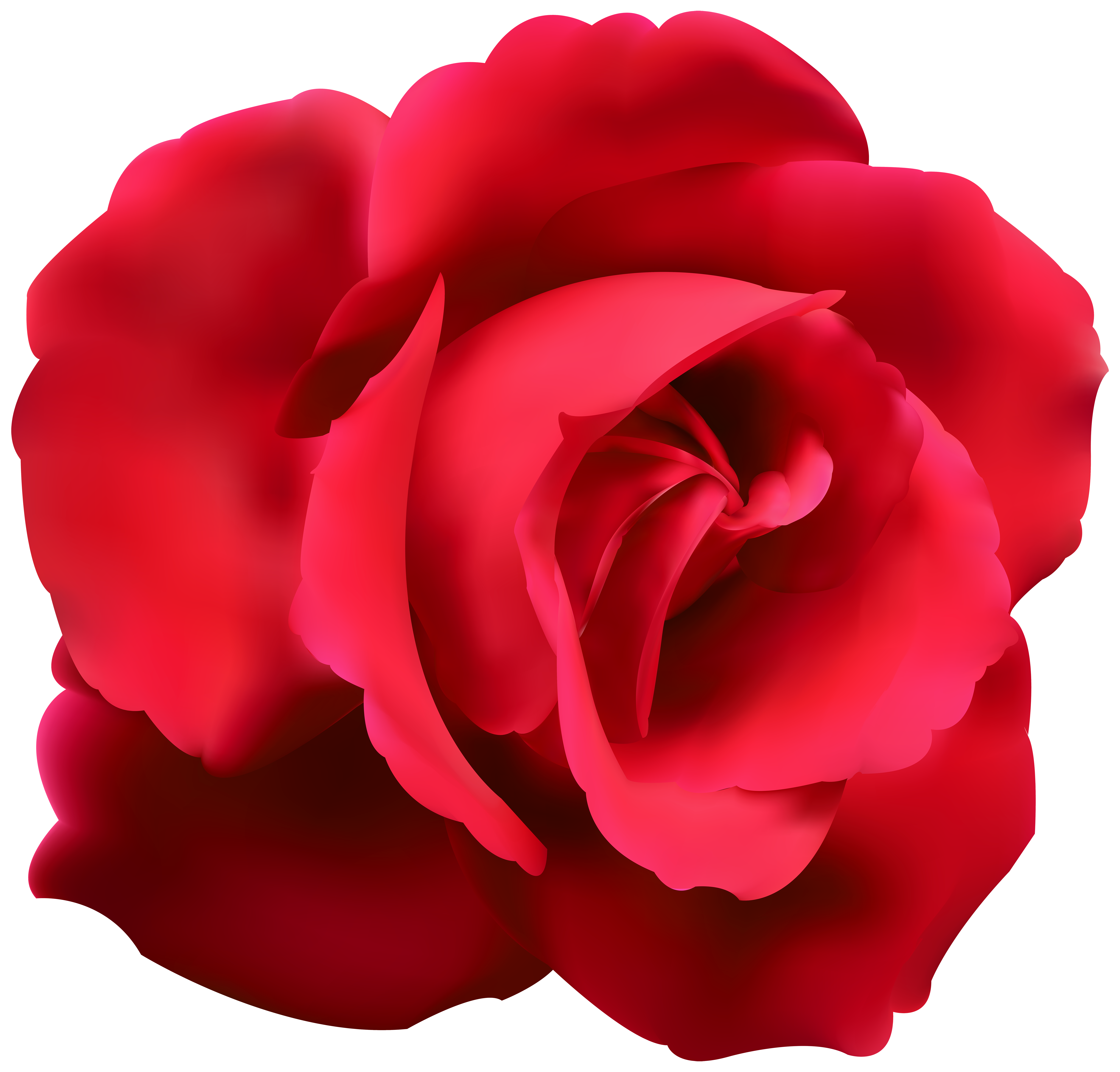 Red Rose Clip Art PNG Image | Gallery Yopriceville - High ...