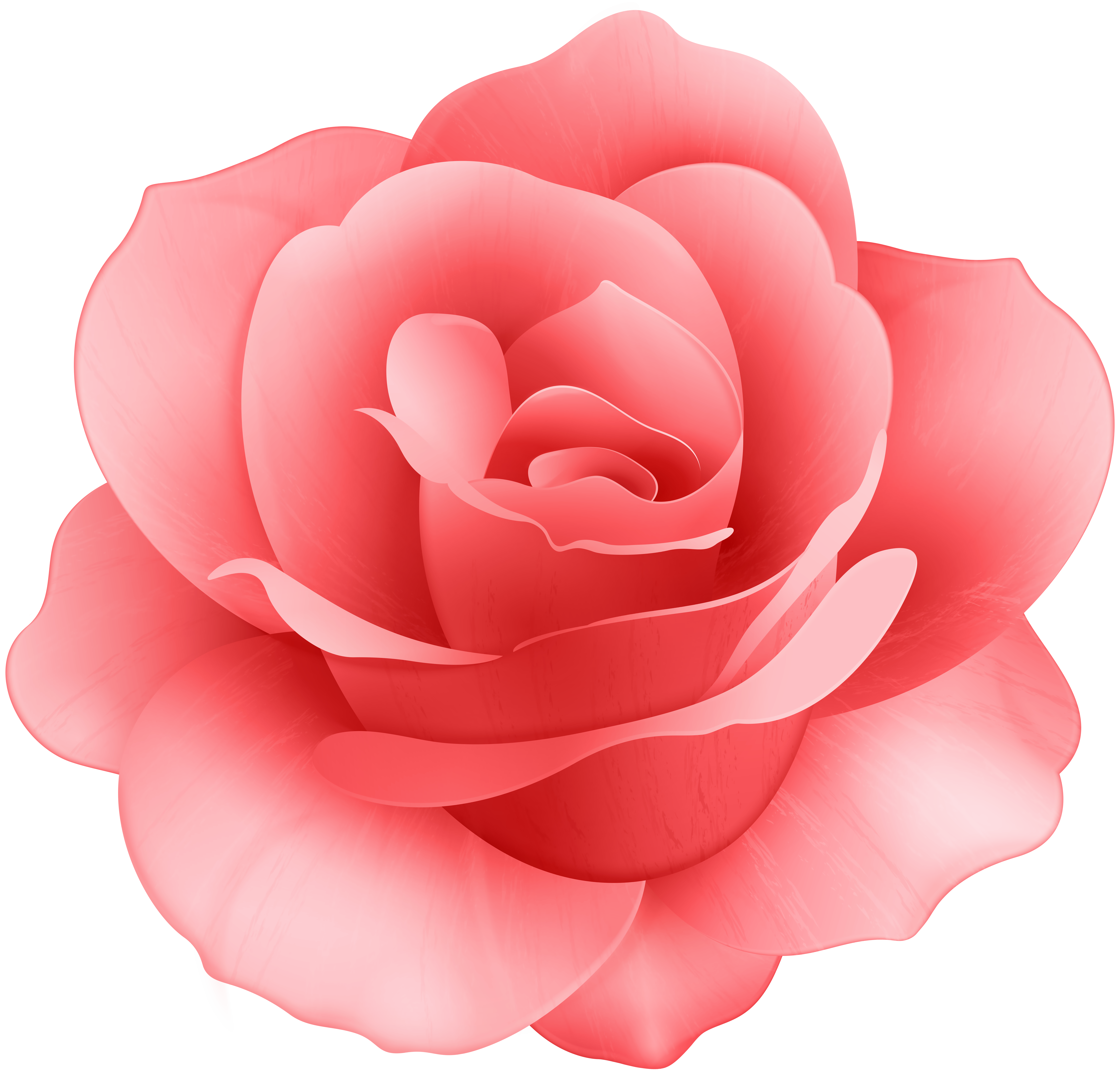 rose flower clip