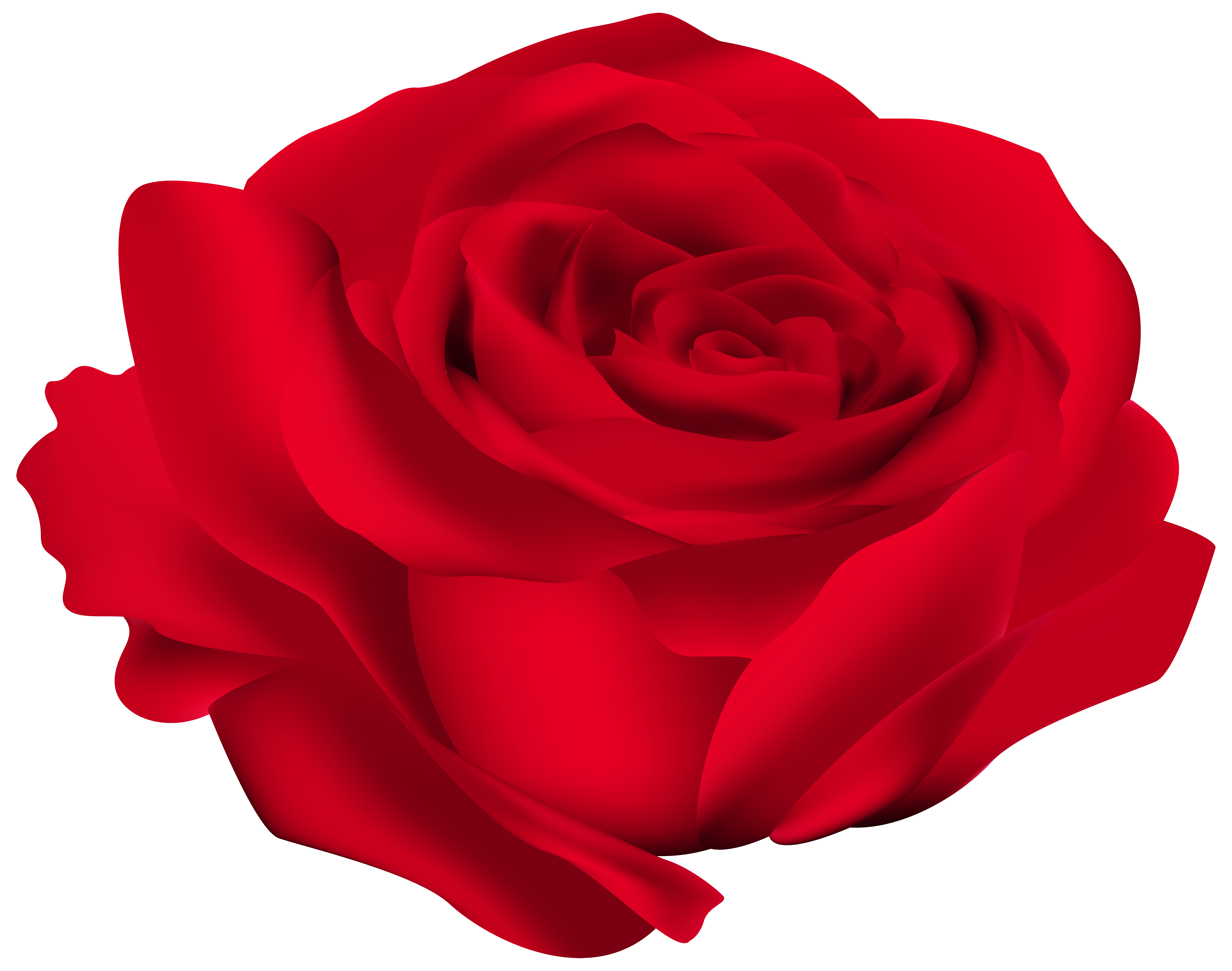 Red Rose Flower Png Image Gallery Yopriceville High Quality Images And Transparent Png Free Clipart Red Rose Flower Png Image Gallery Yopriceville High Quality Images And Transparent Png Free Clipart