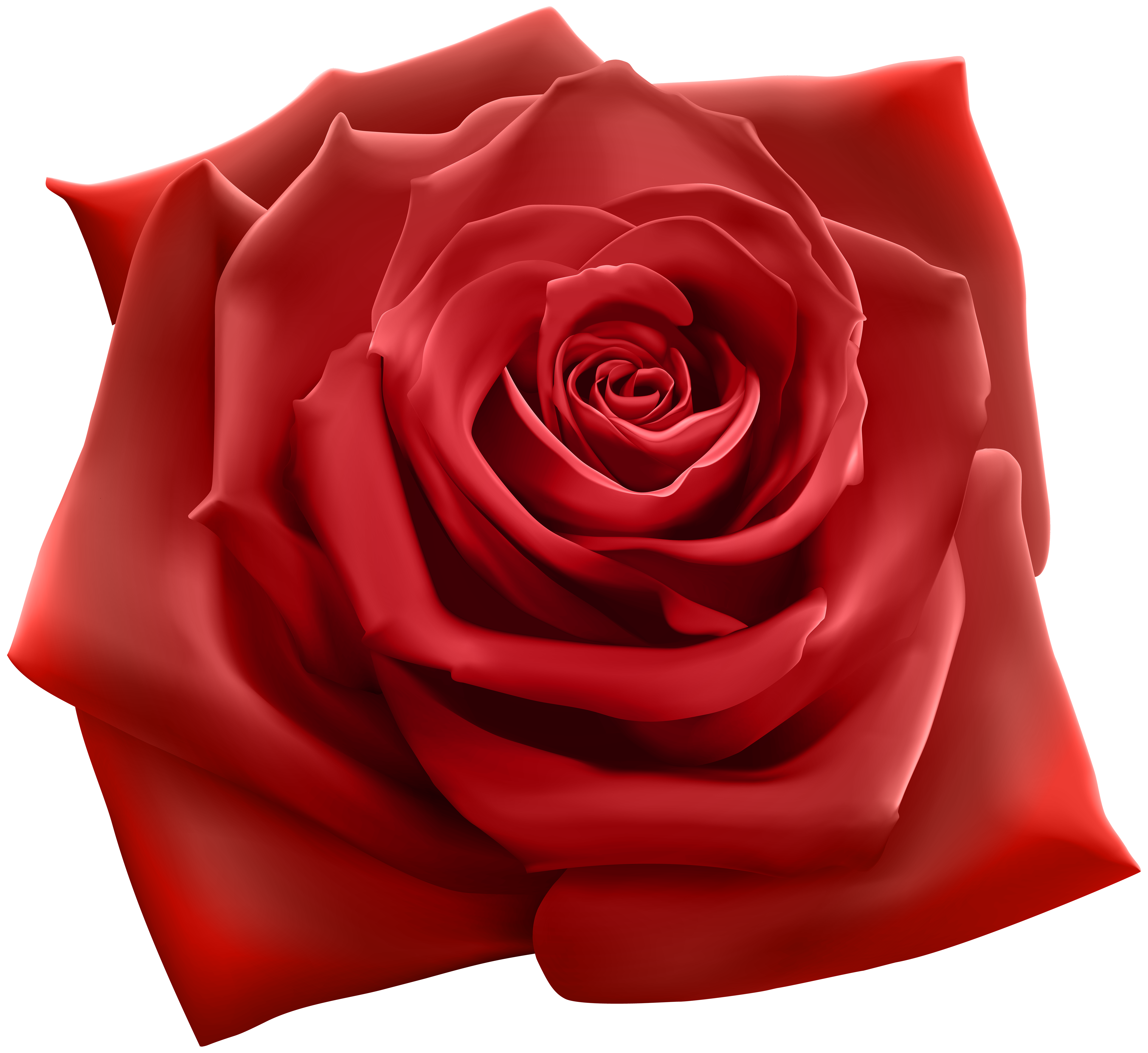 Red-Rose​  Gallery Yopriceville - High-Quality Free Images and