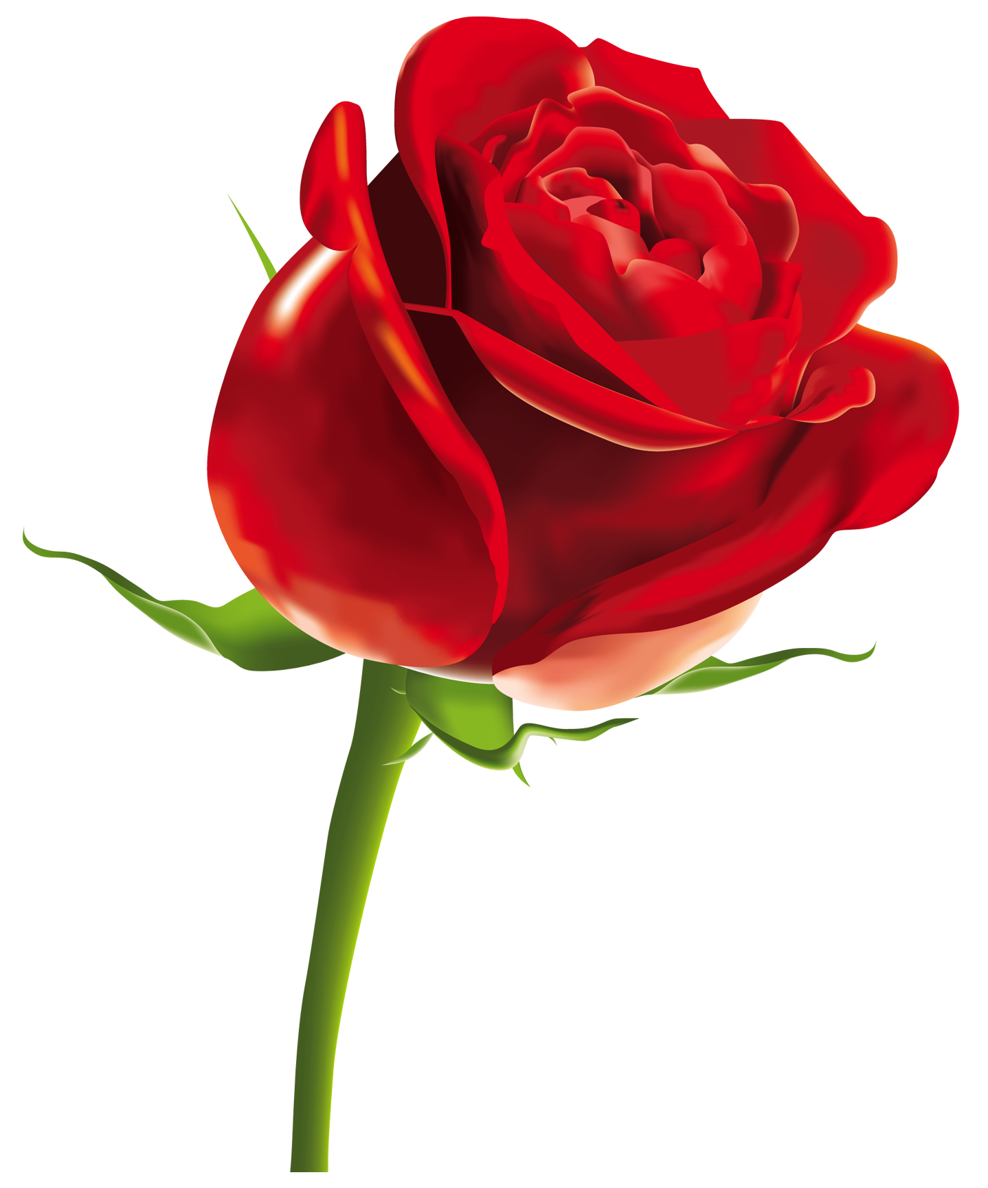 red rose png clipart picture gallery yopriceville high quality