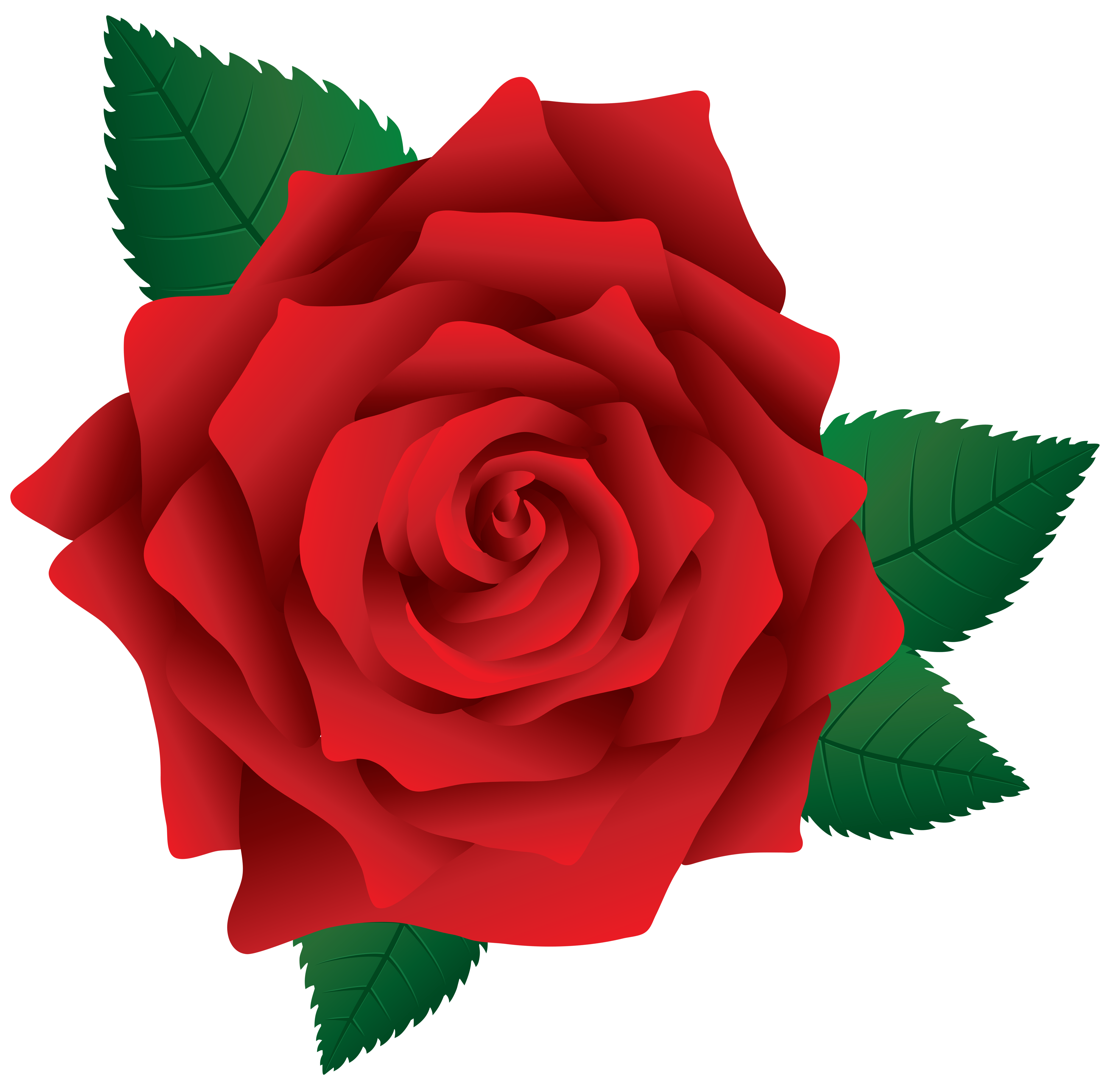 Red Rose Png Image Clipart Gallery Yopriceville High Quality Images And Transparent Png Free Clipart