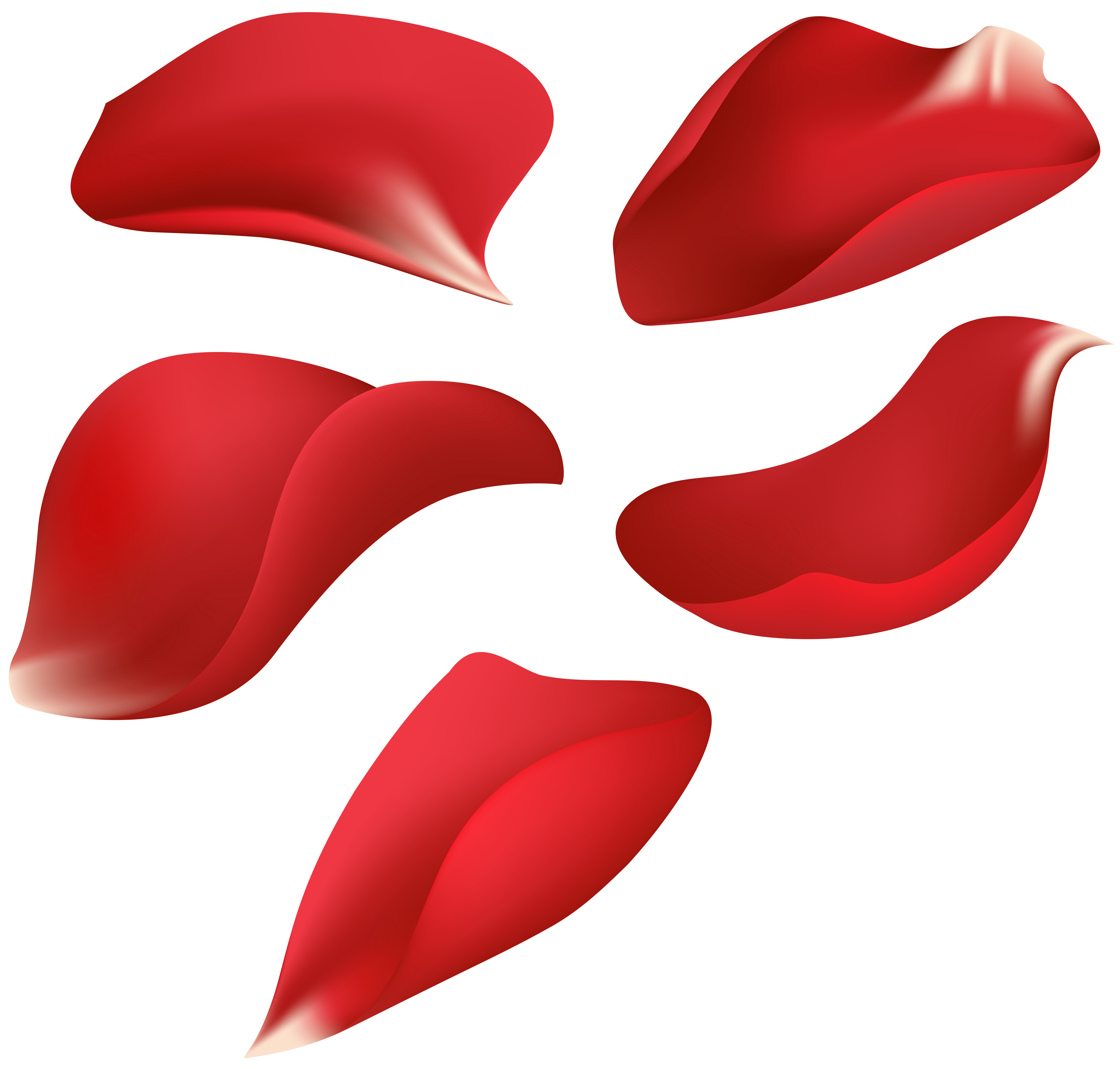 red rose petals transparent clip art image gallery large christmas lights balls