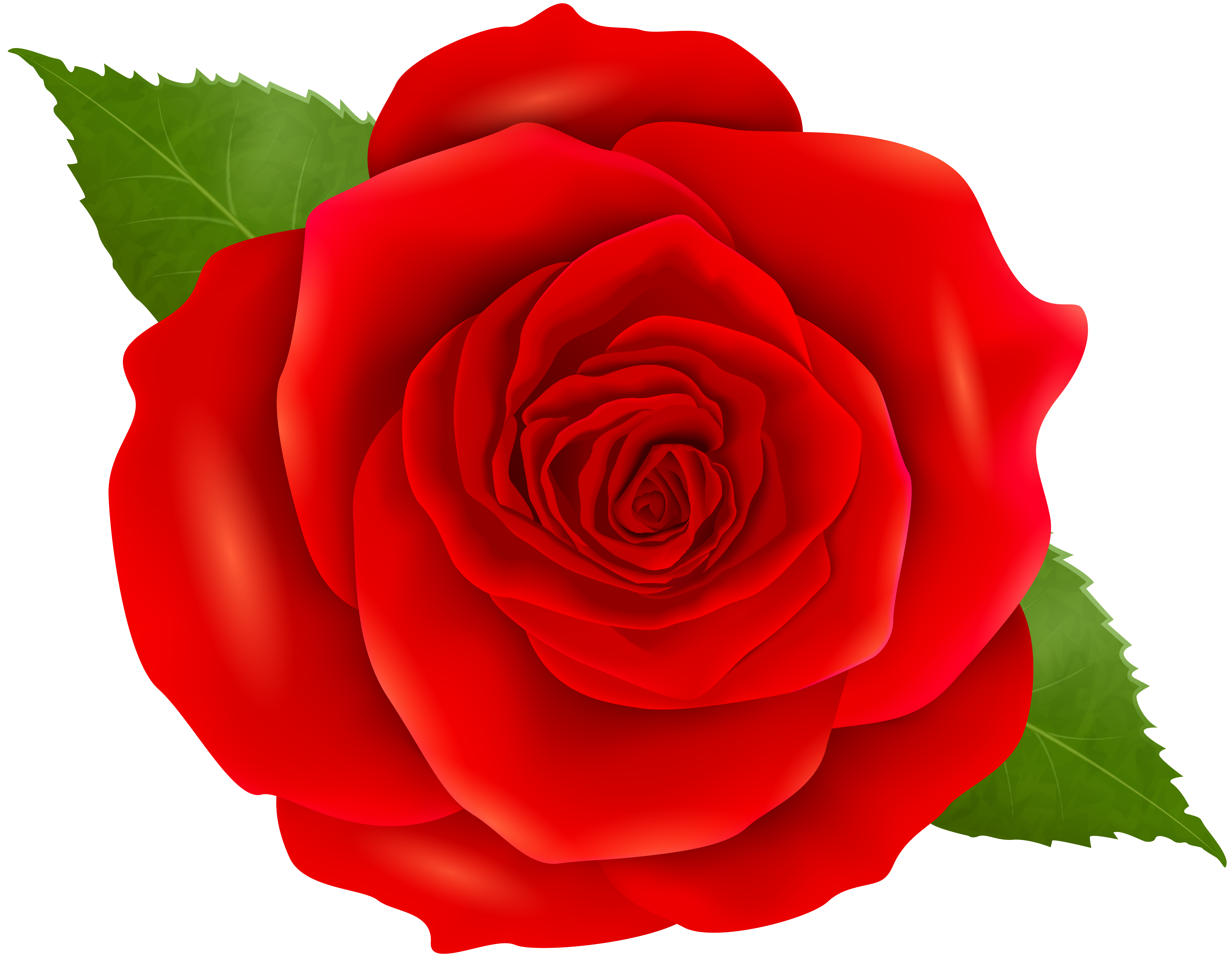 Happy Birthday with Red Rose​  Gallery Yopriceville - High-Quality Free  Images and Transparent PNG Clipart