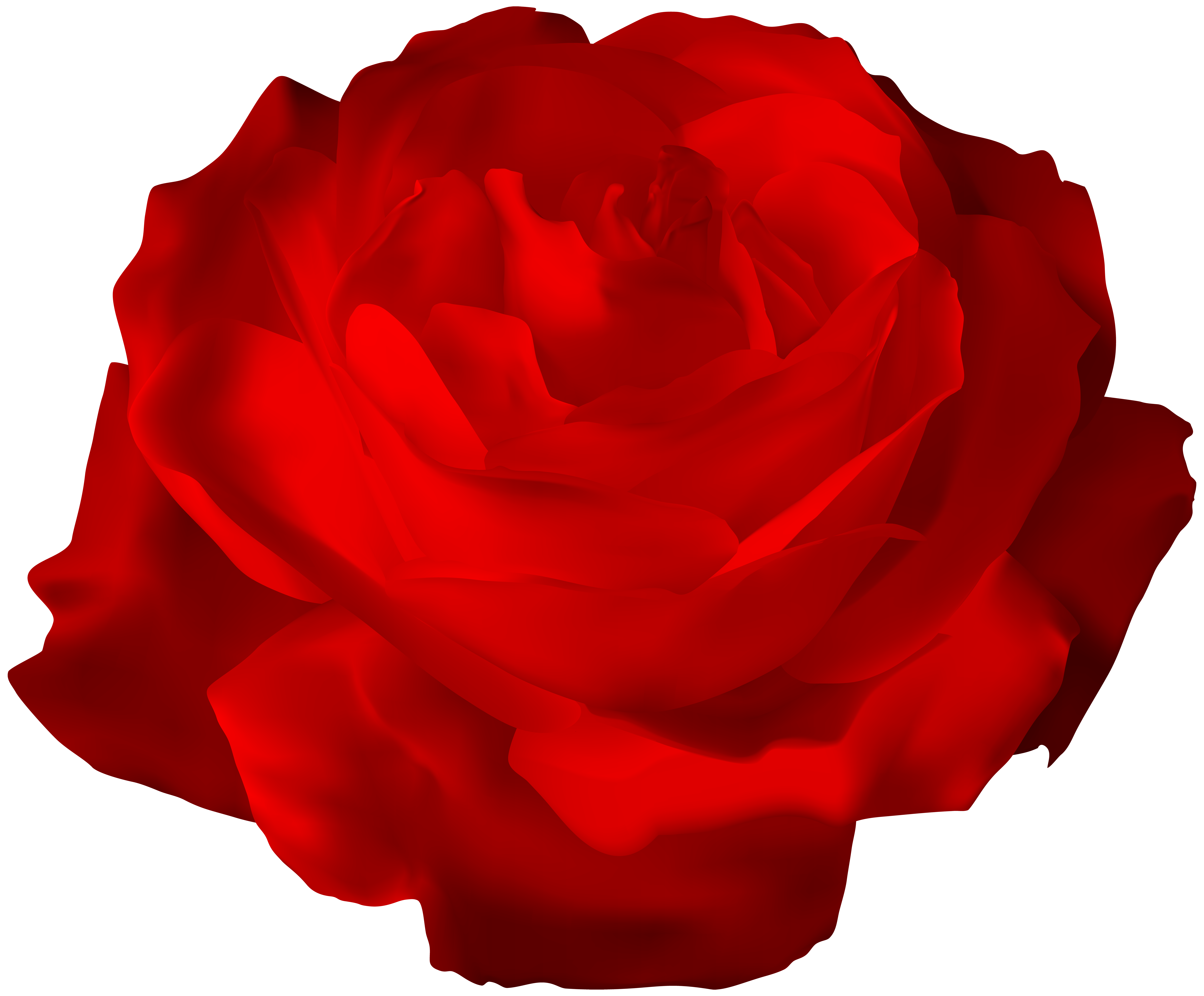 Red Rose Transparent PNG Clip Art Image | Gallery Yopriceville - High ...
