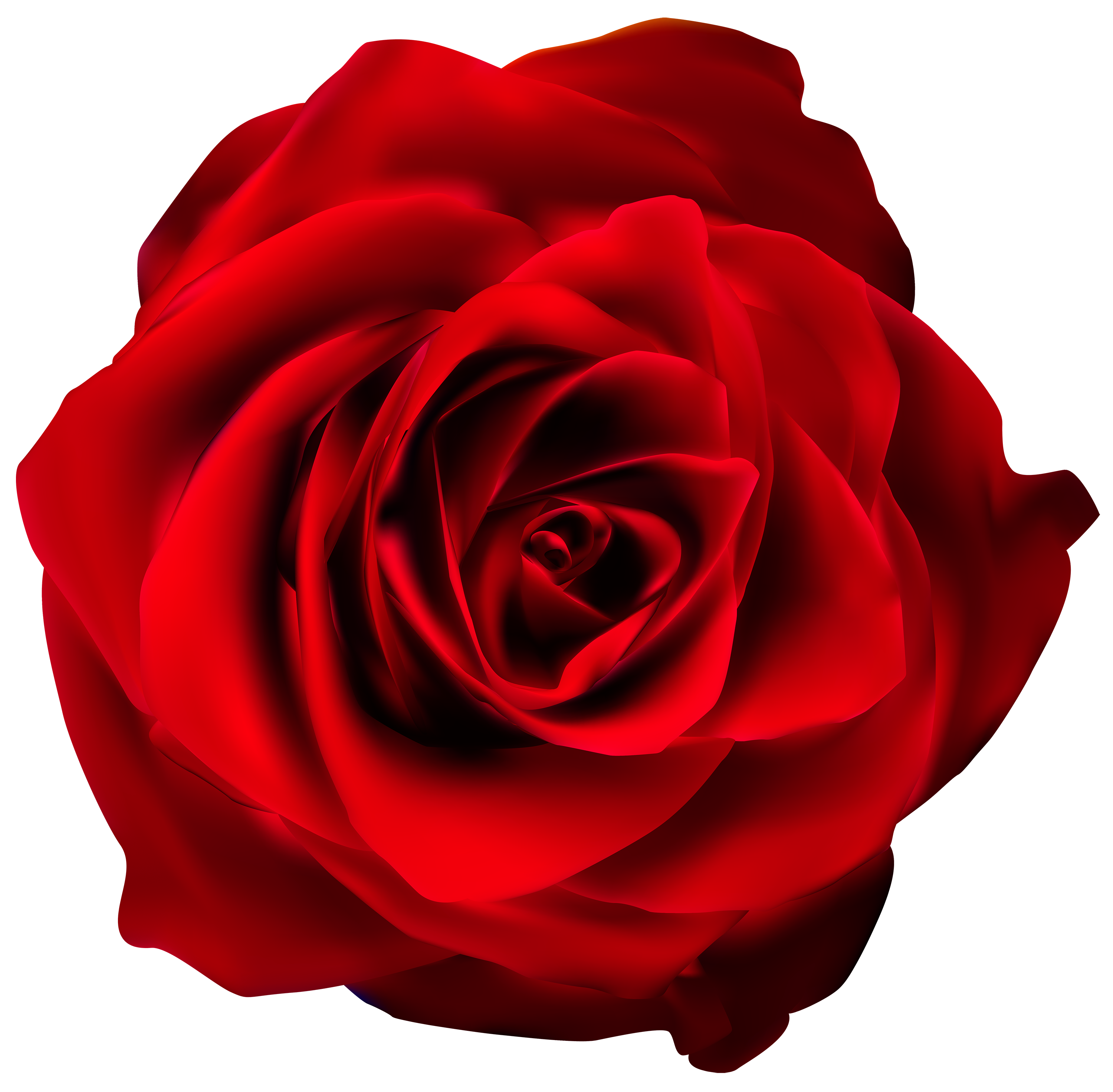 Red Rose Transparent PNG Clip Art Image | Gallery Yopriceville - High ...