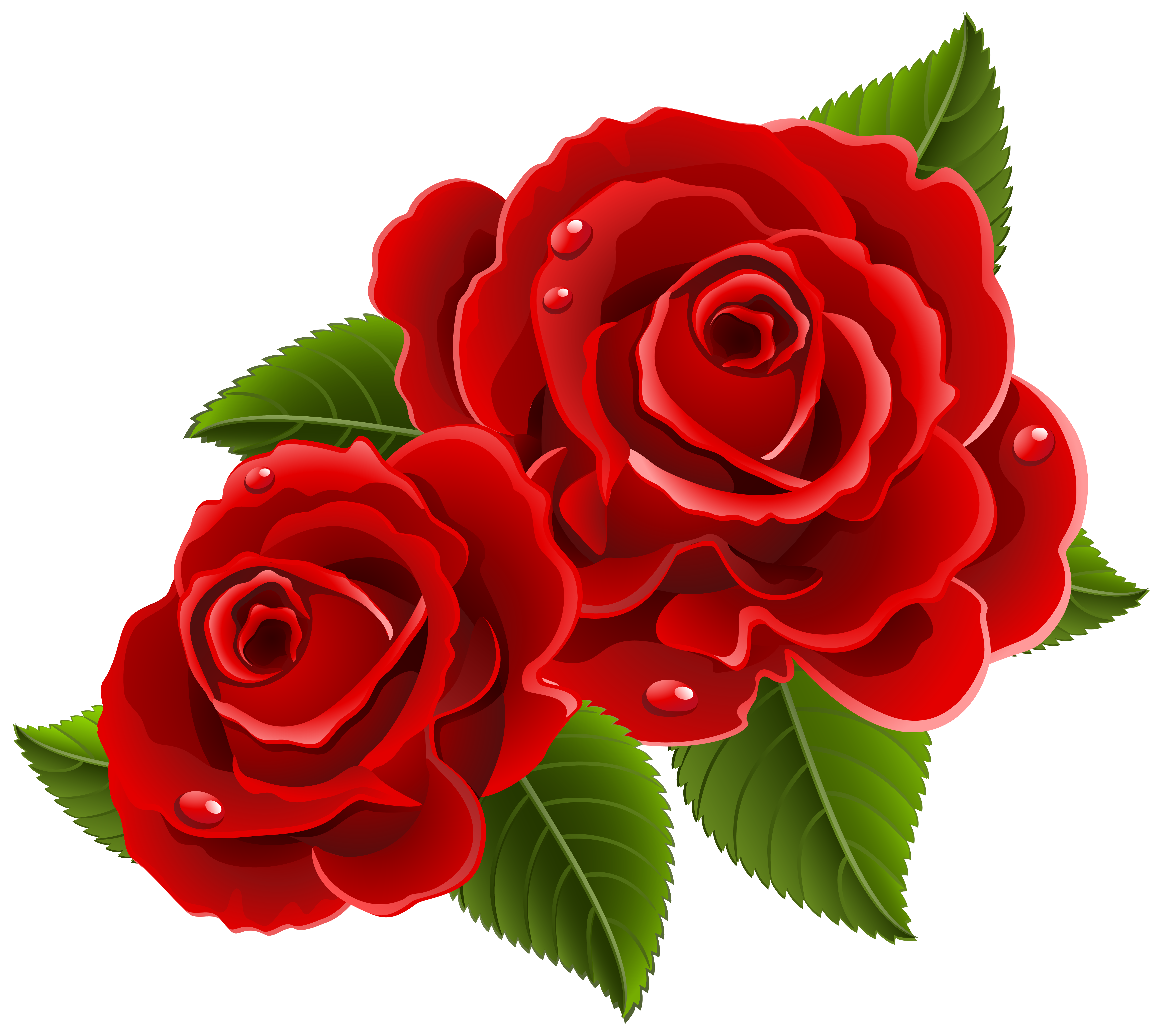 Red Roses Beautiful Png Clipart Picture Gallery Yopriceville