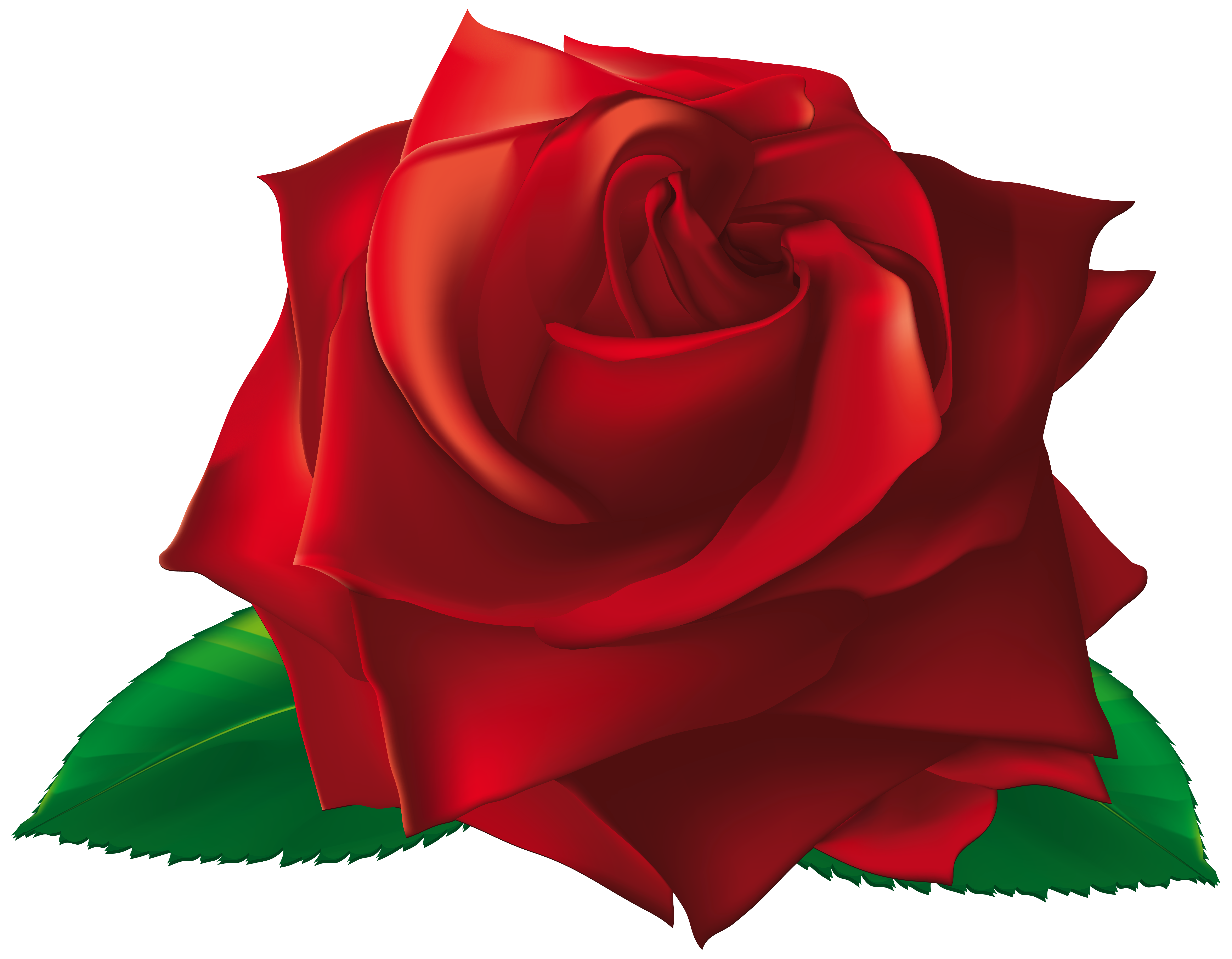 single rose clip art