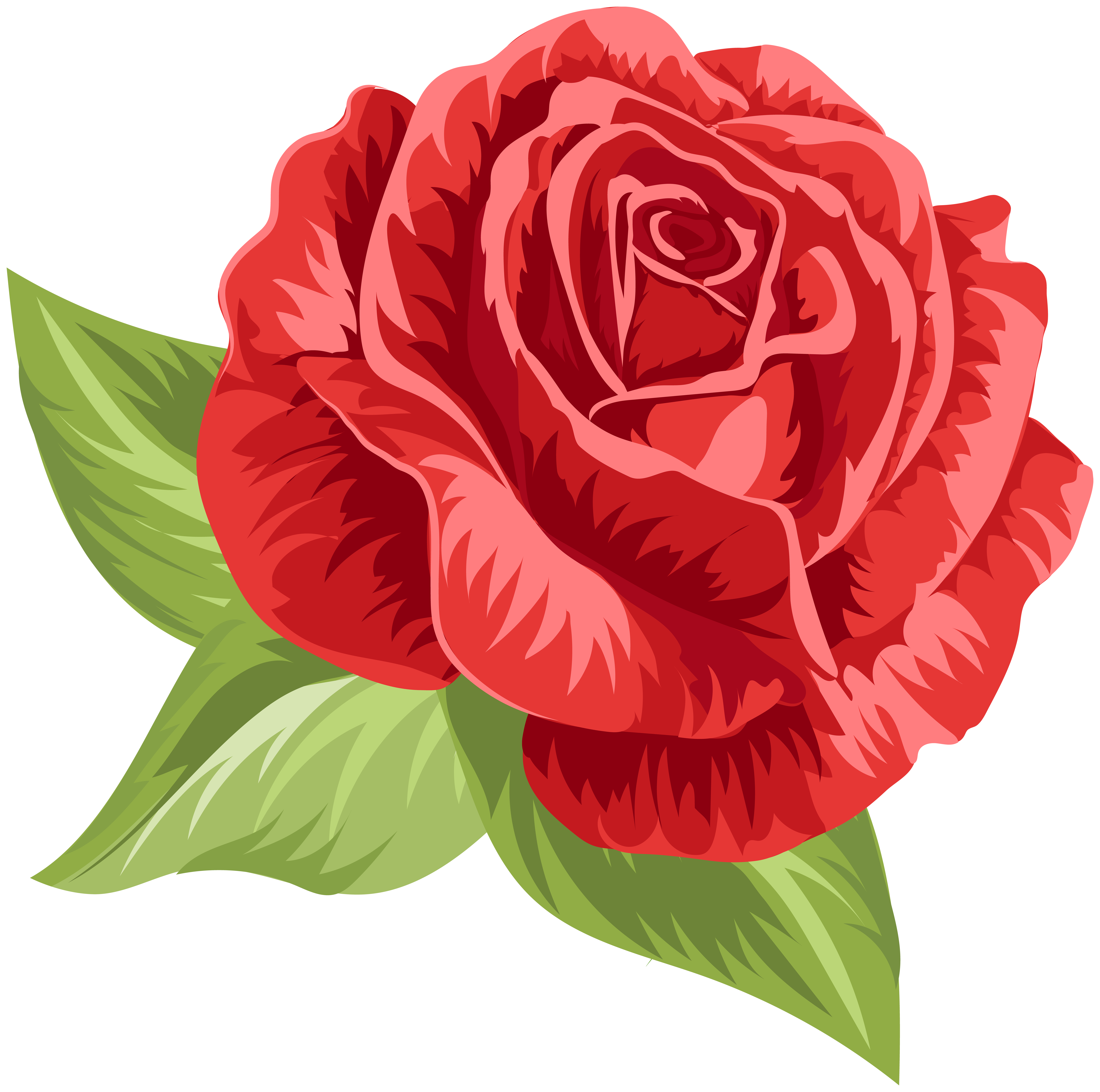 red vintage rose png