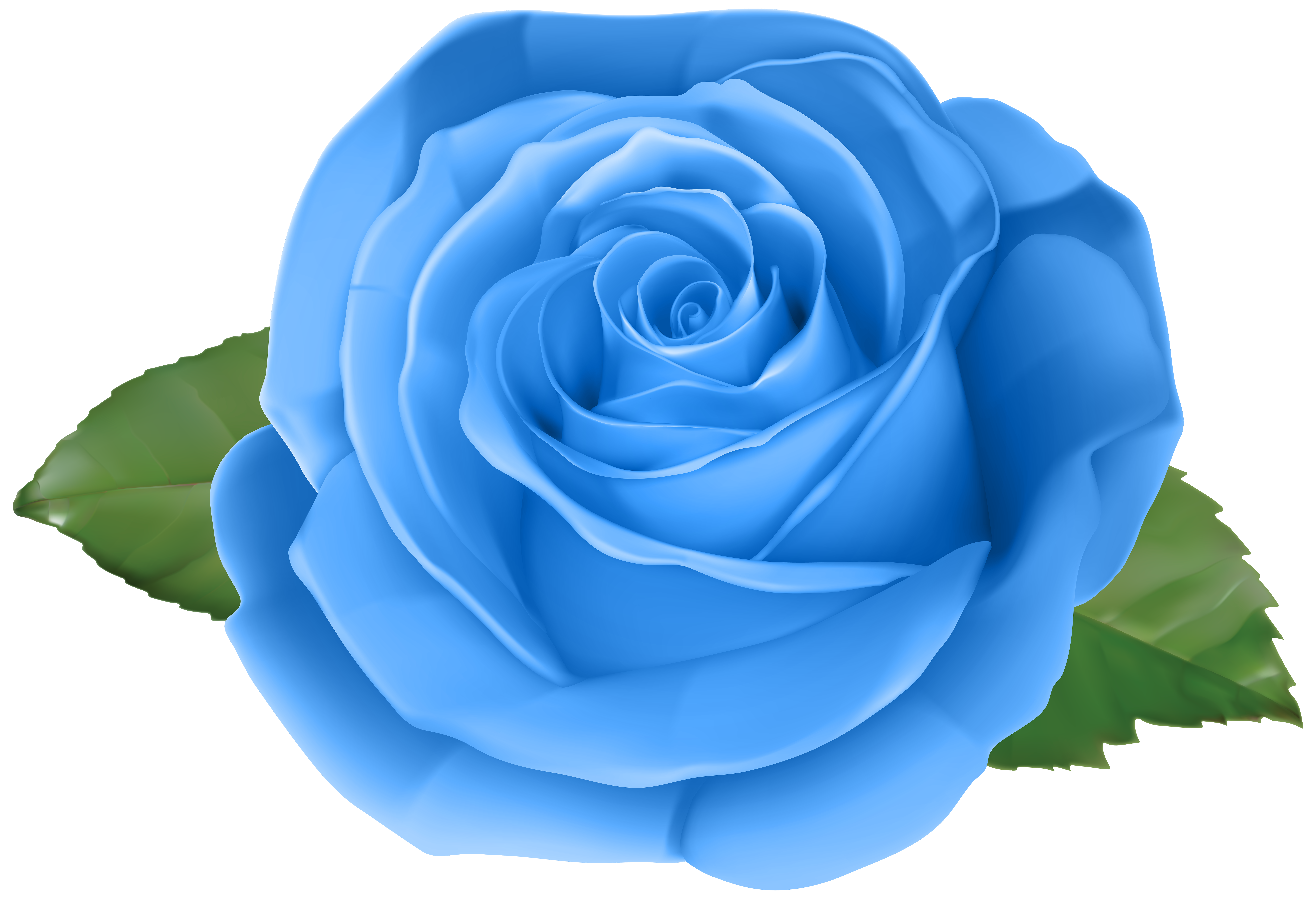 Rose Blue Transparent Png Clip Art Image Gallery Yopriceville High Quality Images And Transparent Png Free Clipart Rose Blue Transparent Png Clip Art Image Gallery Yopriceville High Quality Images And Transparent Png Free Clipart