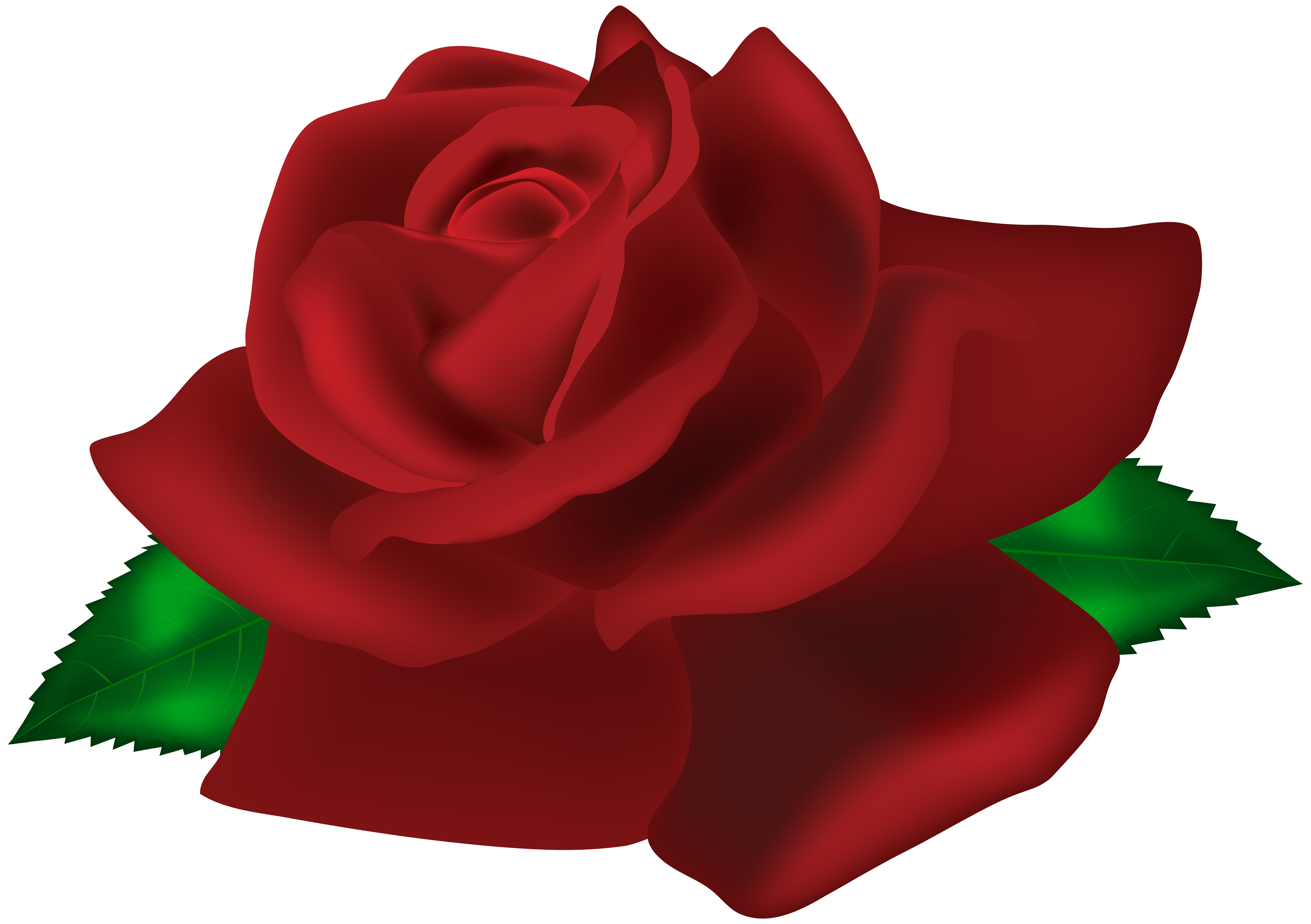 Rose Dark Red PNG Clip Art Image | Gallery Yopriceville - High-Quality ...