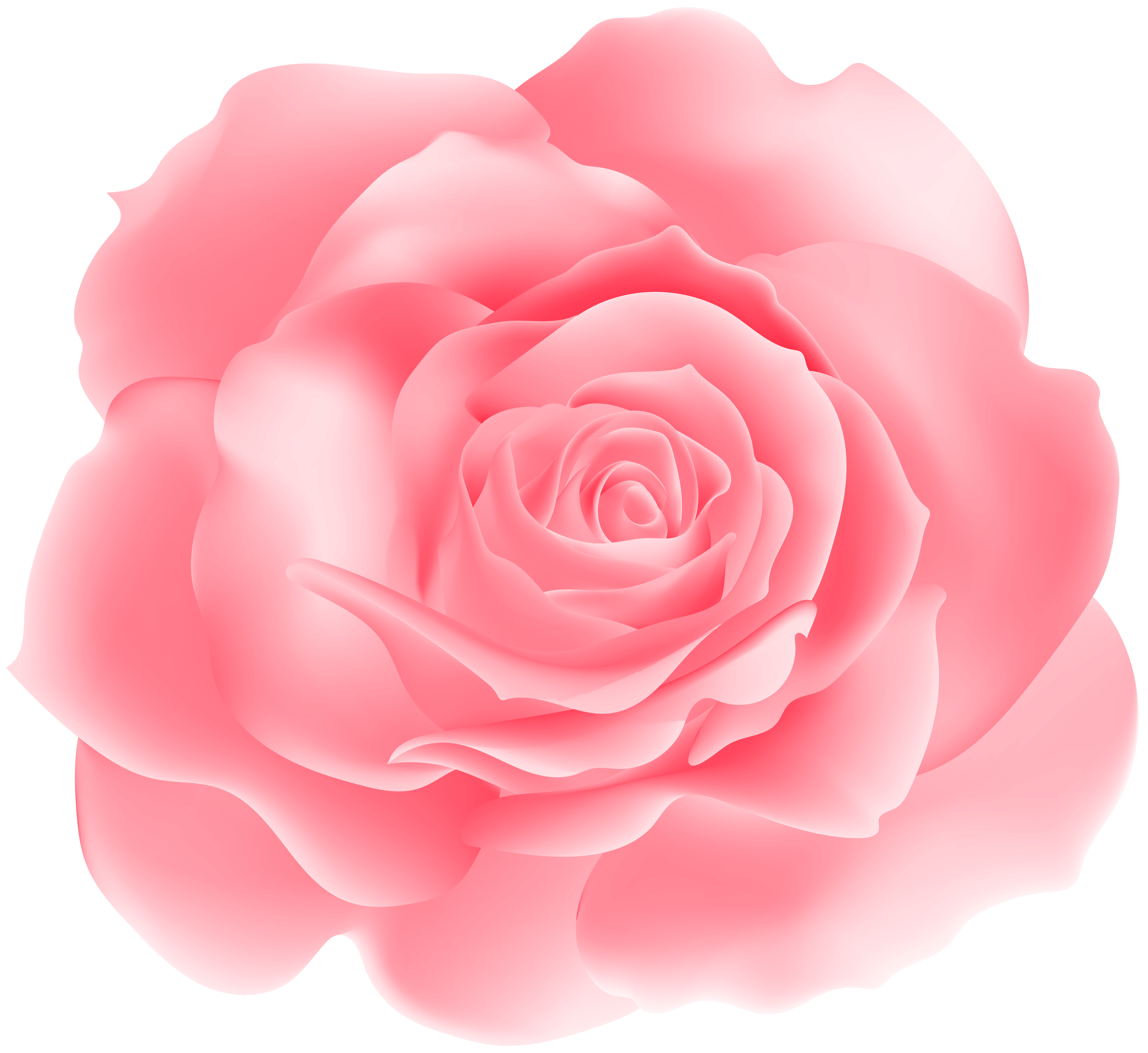 Soft Pink Rose Png Clipart Gallery Yopriceville High Quality Images And Transparent Png Free Clipart Soft Pink Rose Png Clipart Gallery Yopriceville High Quality Images And Transparent Png Free Clipart