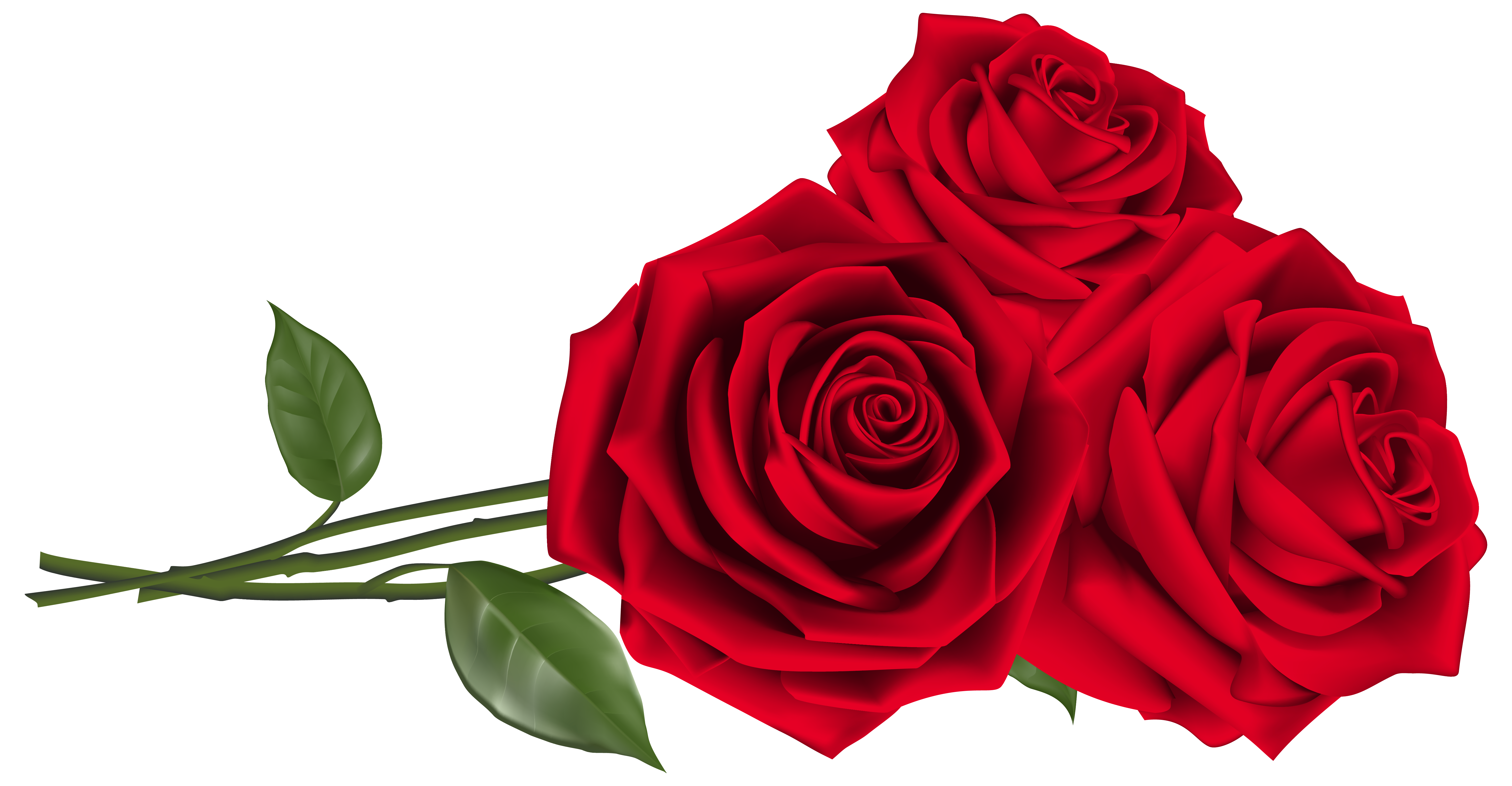 Three Red Roses PNG Clipart Image​