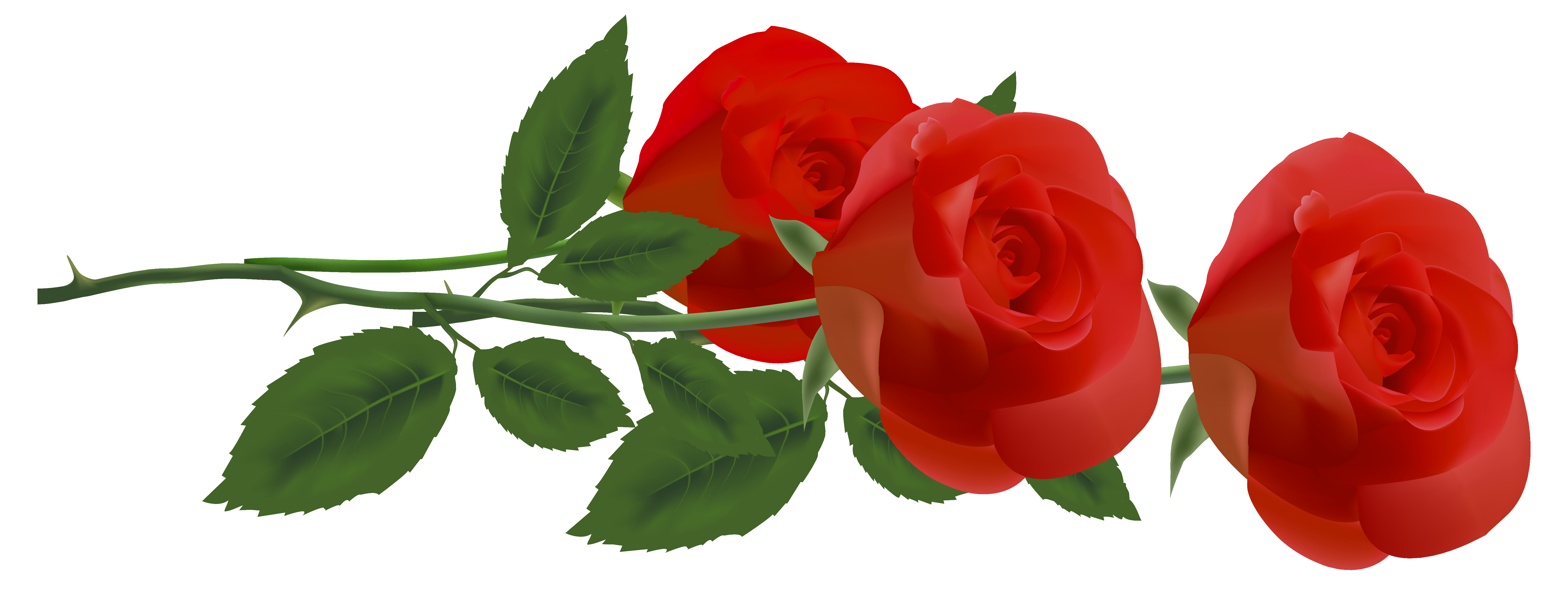 Red Rose Images Clip Art