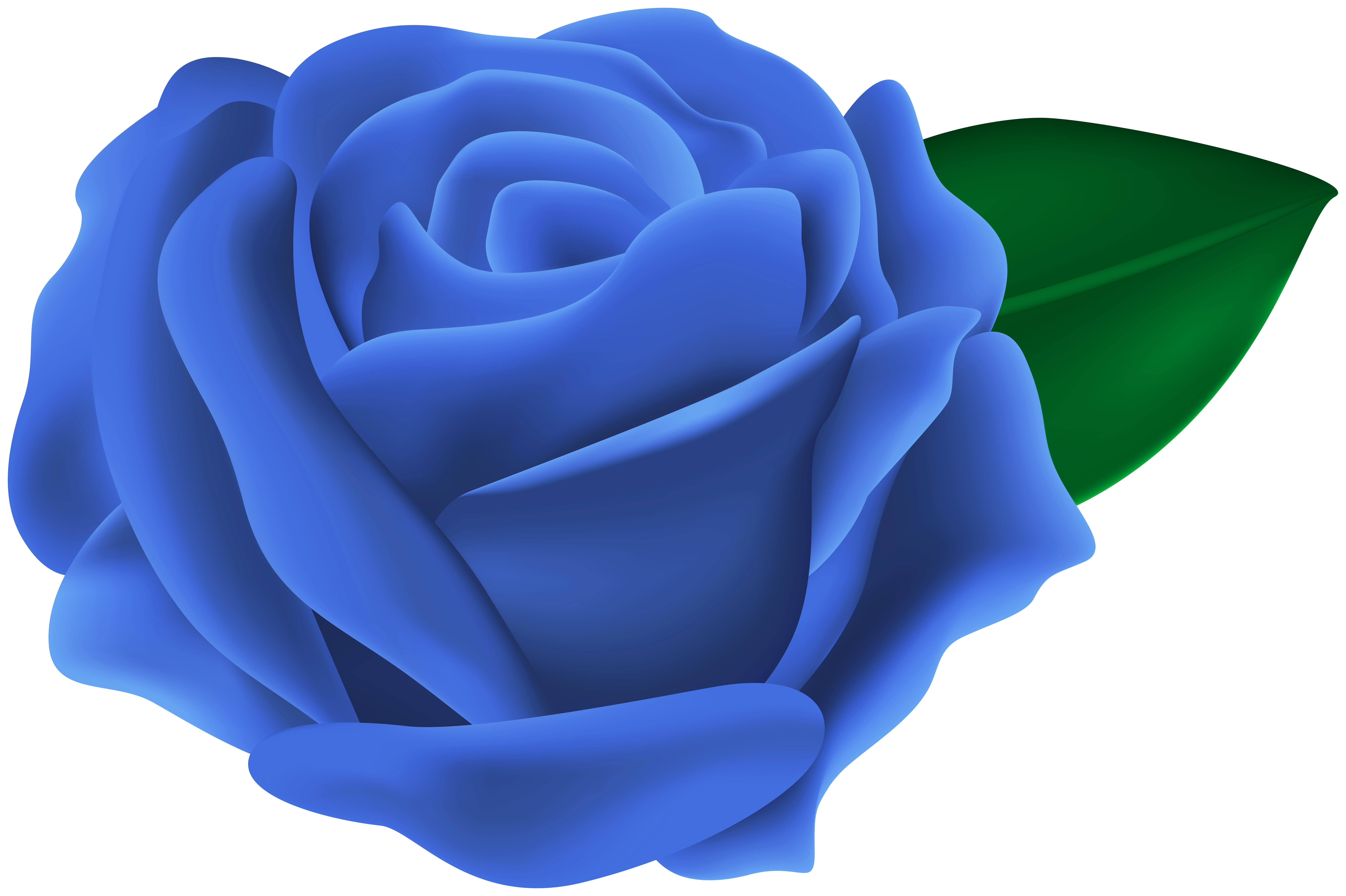 Transparent Blue Rose Png Clipart Gallery Yopriceville High Quality Images And Transparent Png Free Clipart
