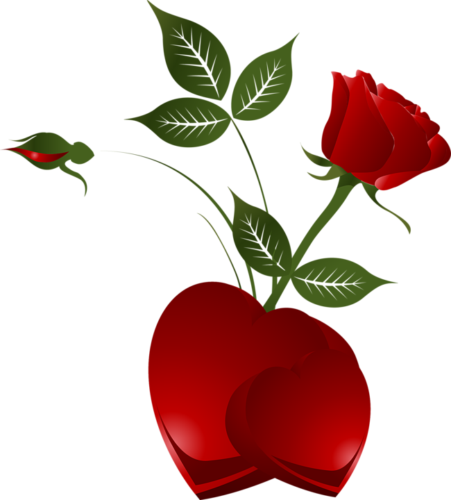 transparent decorative element red