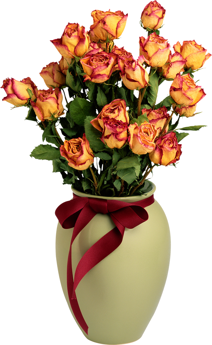 Vase with Orange Roses PNG Picture | Gallery Yopriceville - High