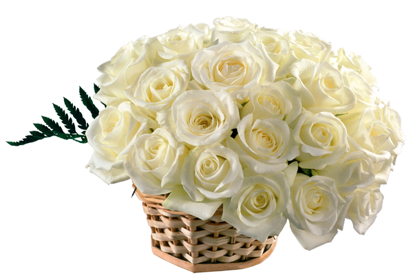 لبى الورد وانفاسه White_Roses_Basket_B لبى الورد وانفاسه White_Roses_Basket_B