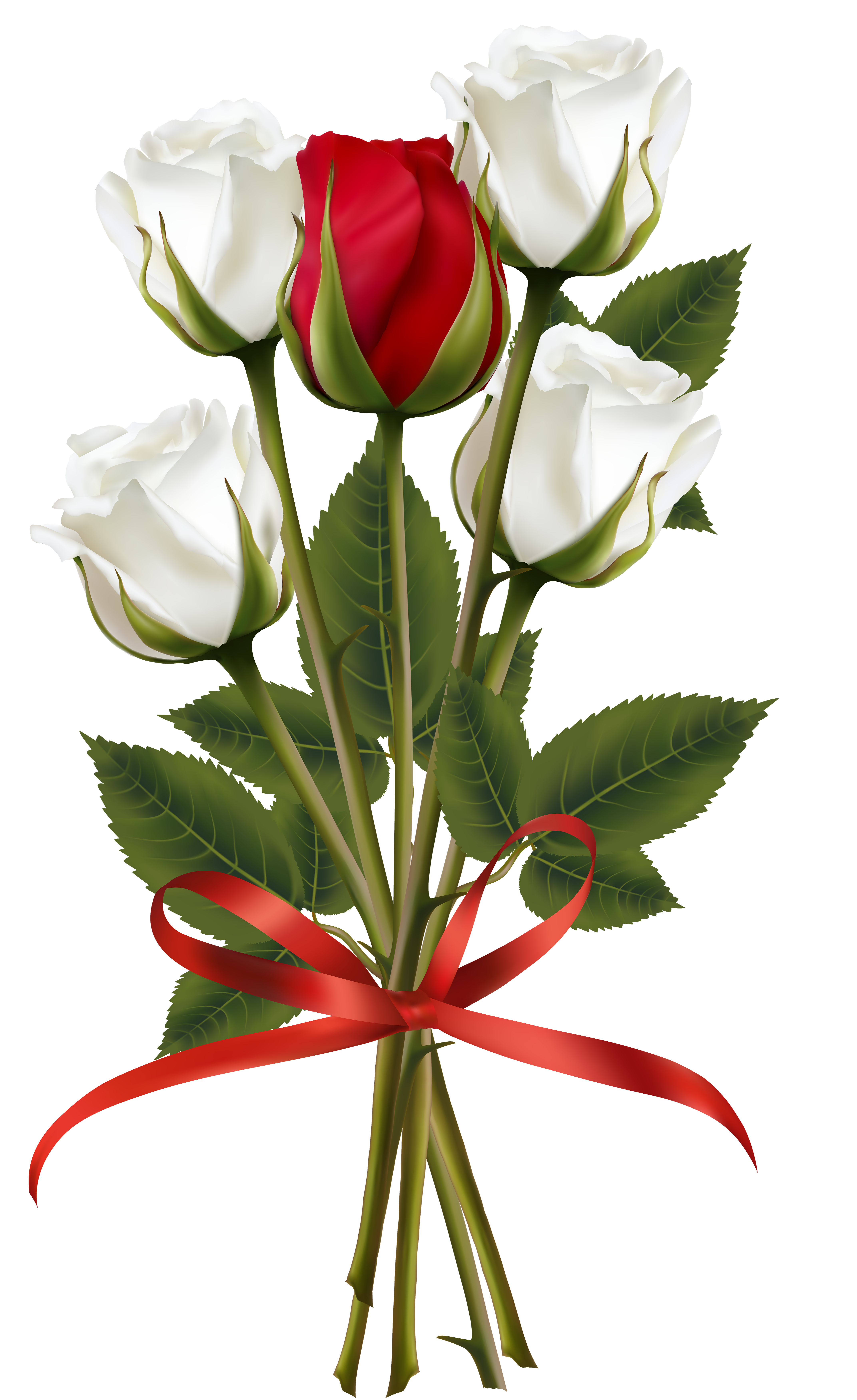 White and Red Rose Bouquet Transparent PNG Clip Art Image | Gallery