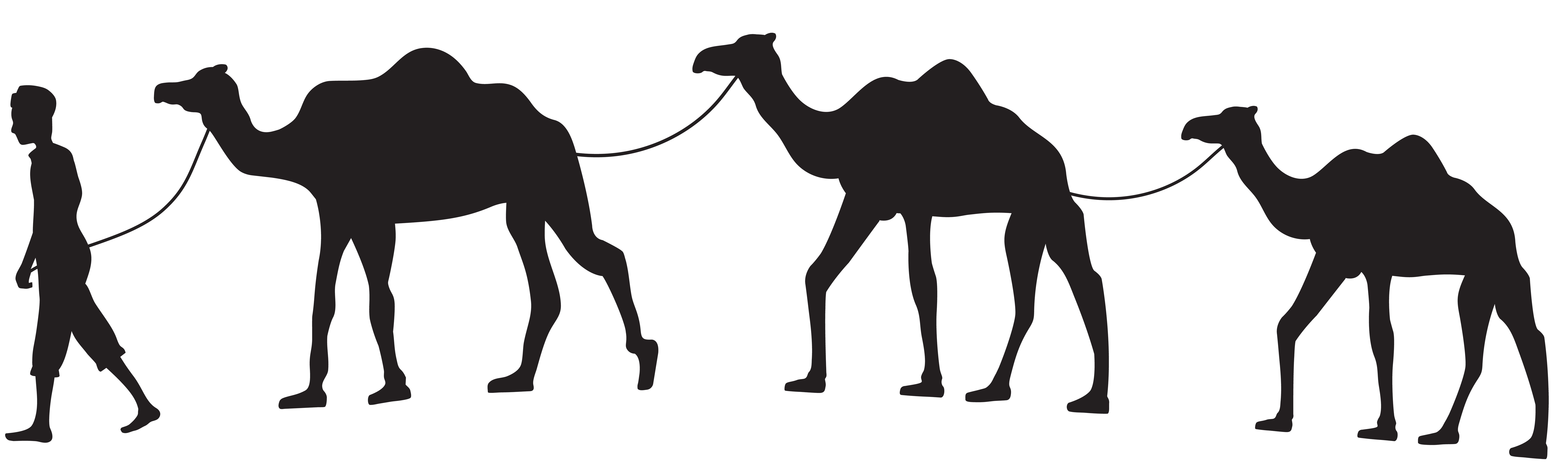 Camel Caravan Silhouette PNG Clip Art  Gallery 