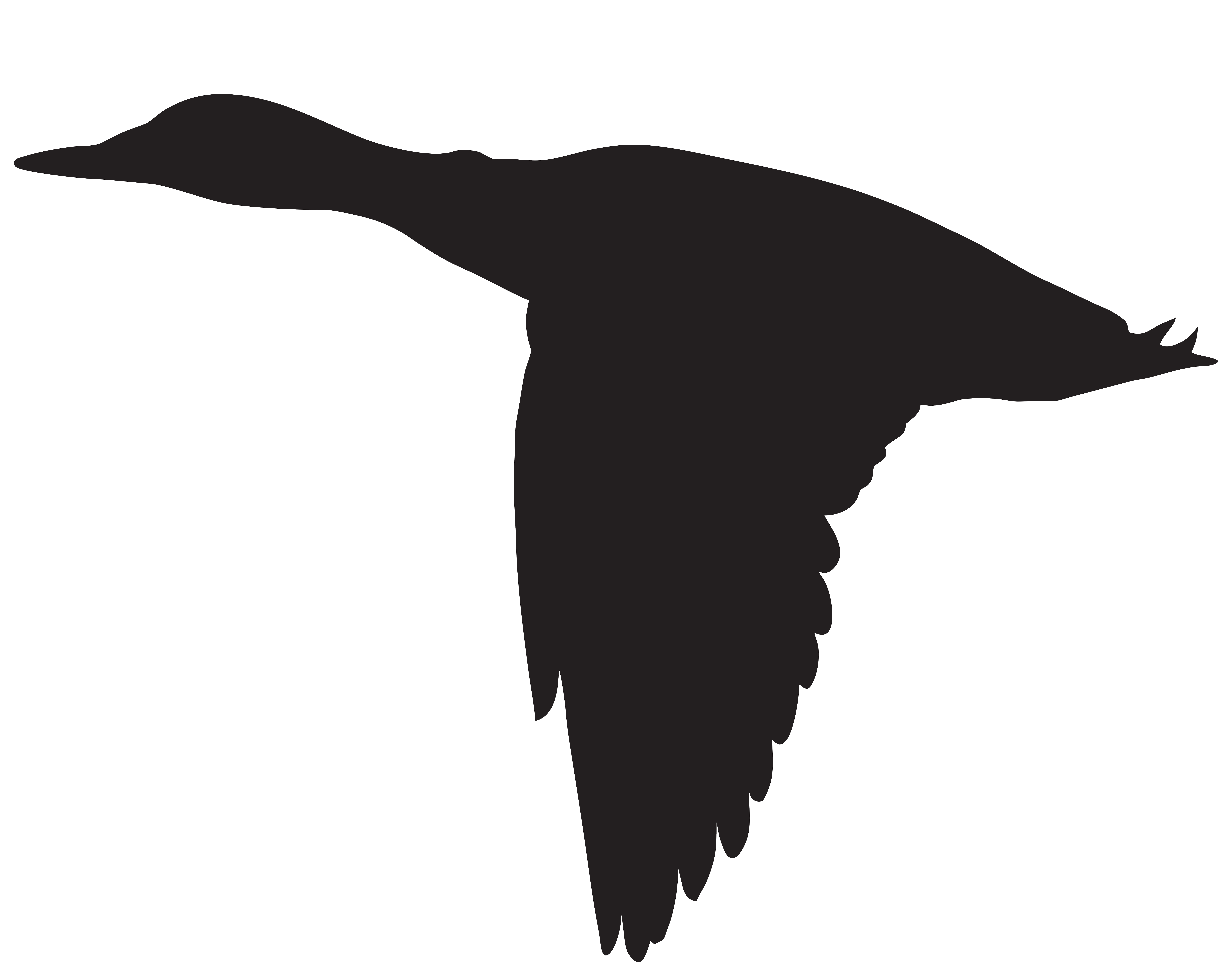 Duck Flying Silhouette Png Clip Art Image Gallery Yopriceville High