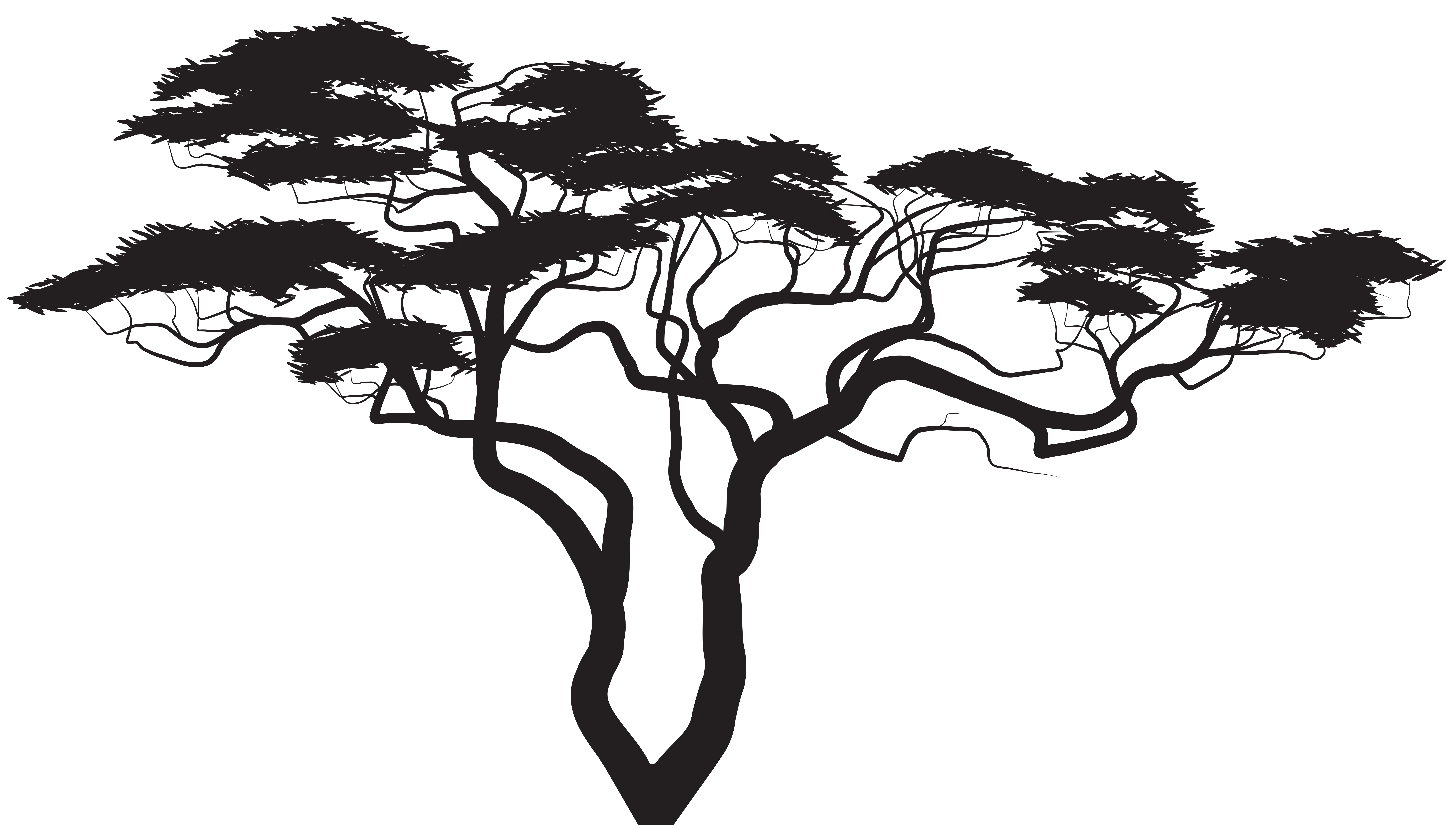 Exotic Tree Silhouette PNG Clip Art Image | Gallery ...