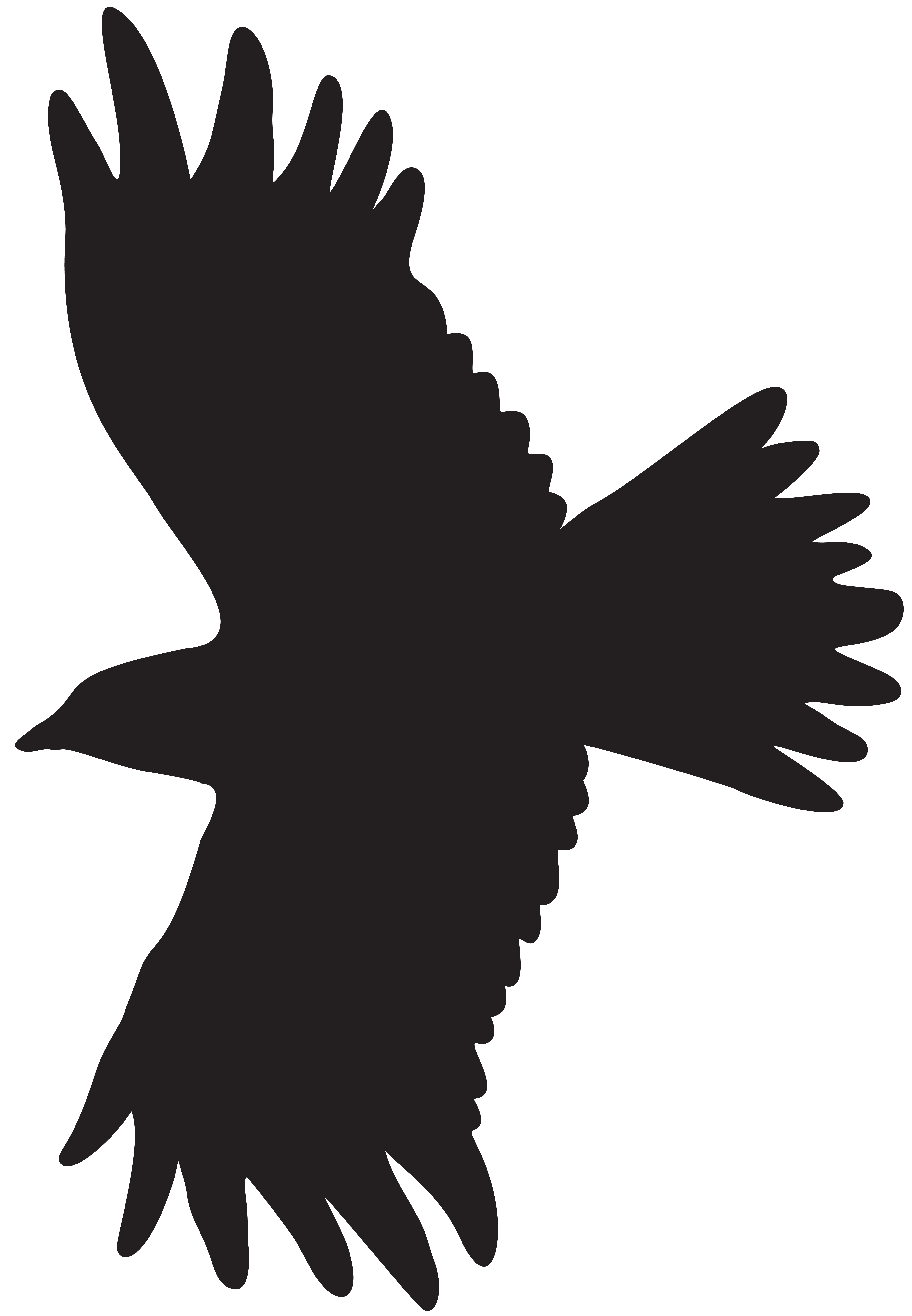 flying bird clipart png