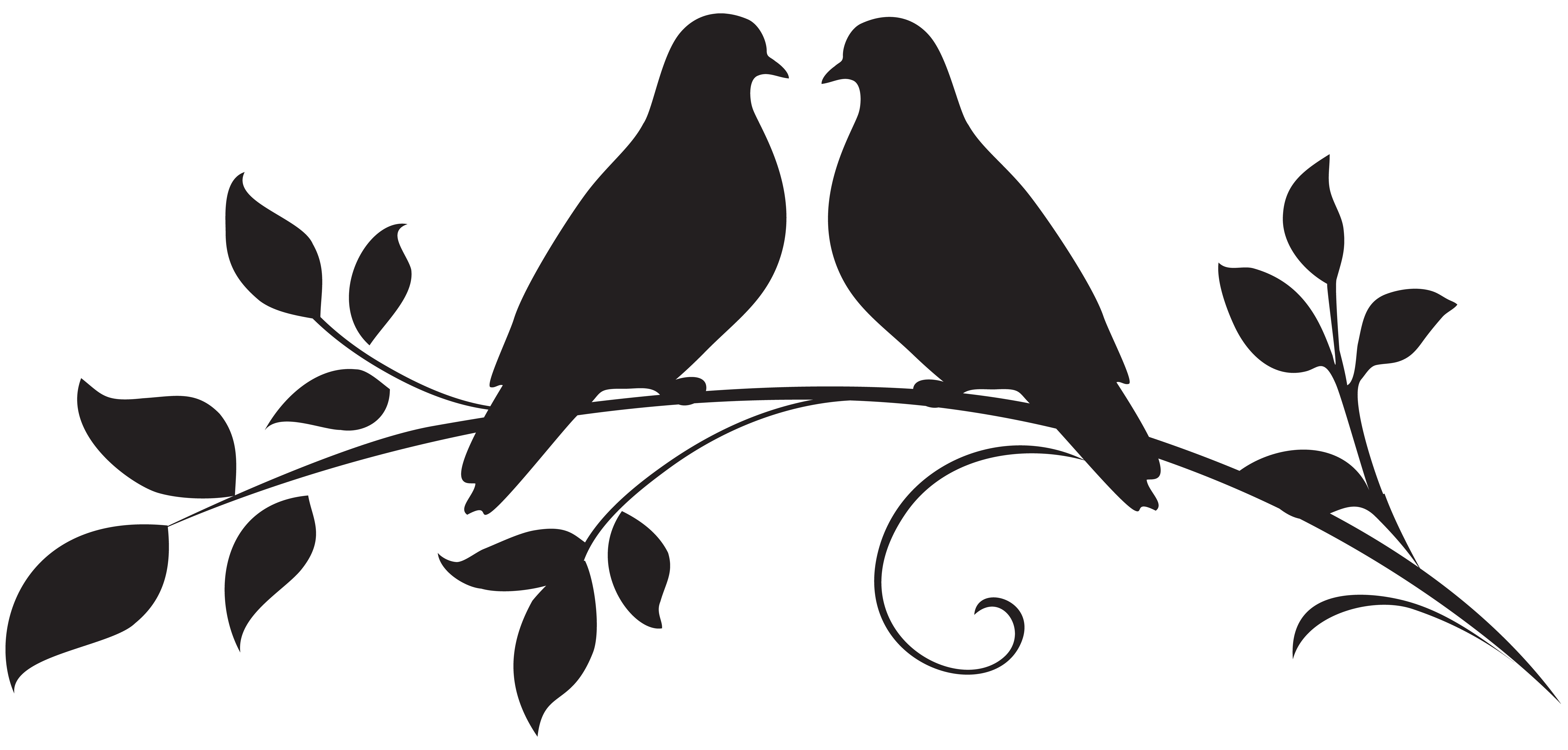 Dove Silhouette Png