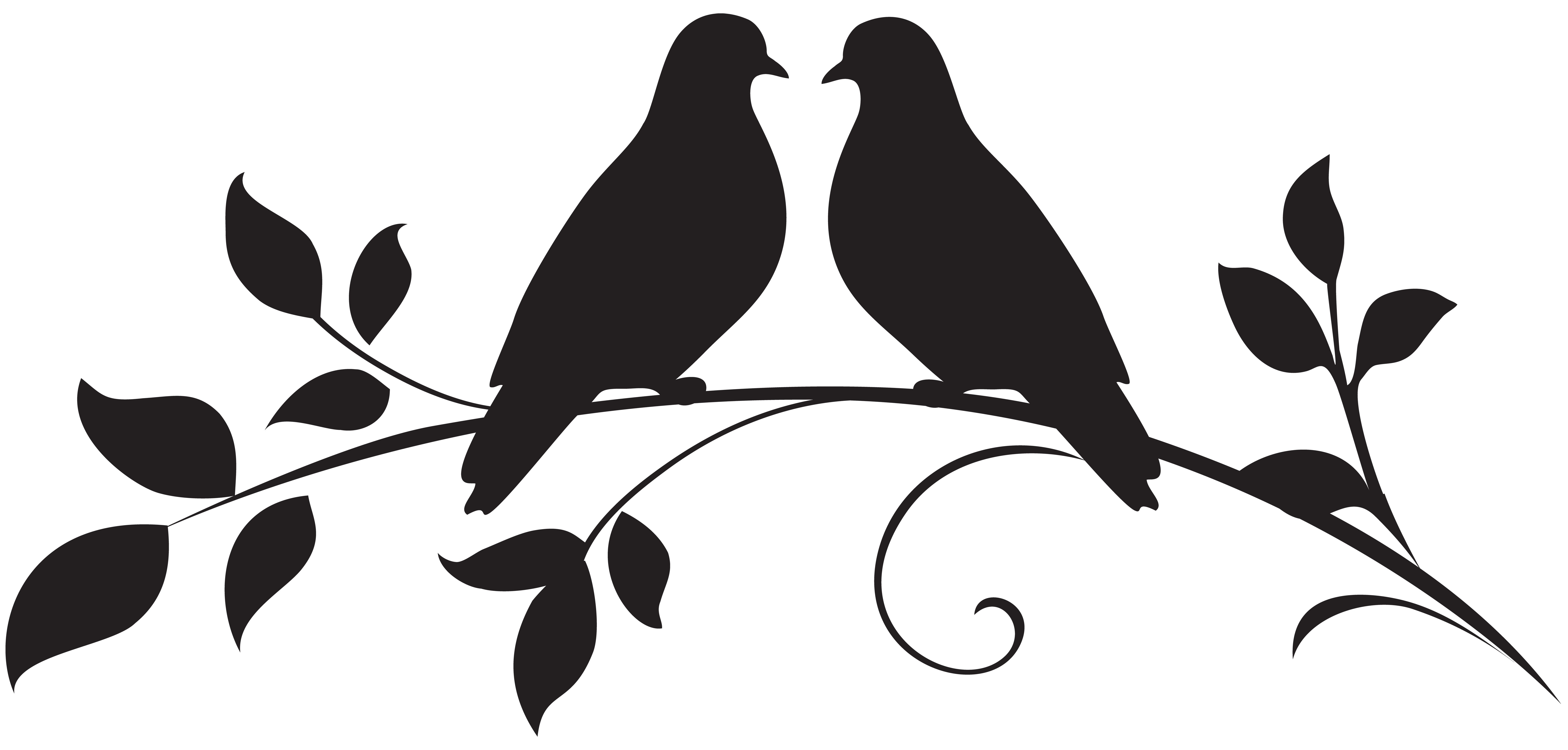 Love Dove Clipart Png