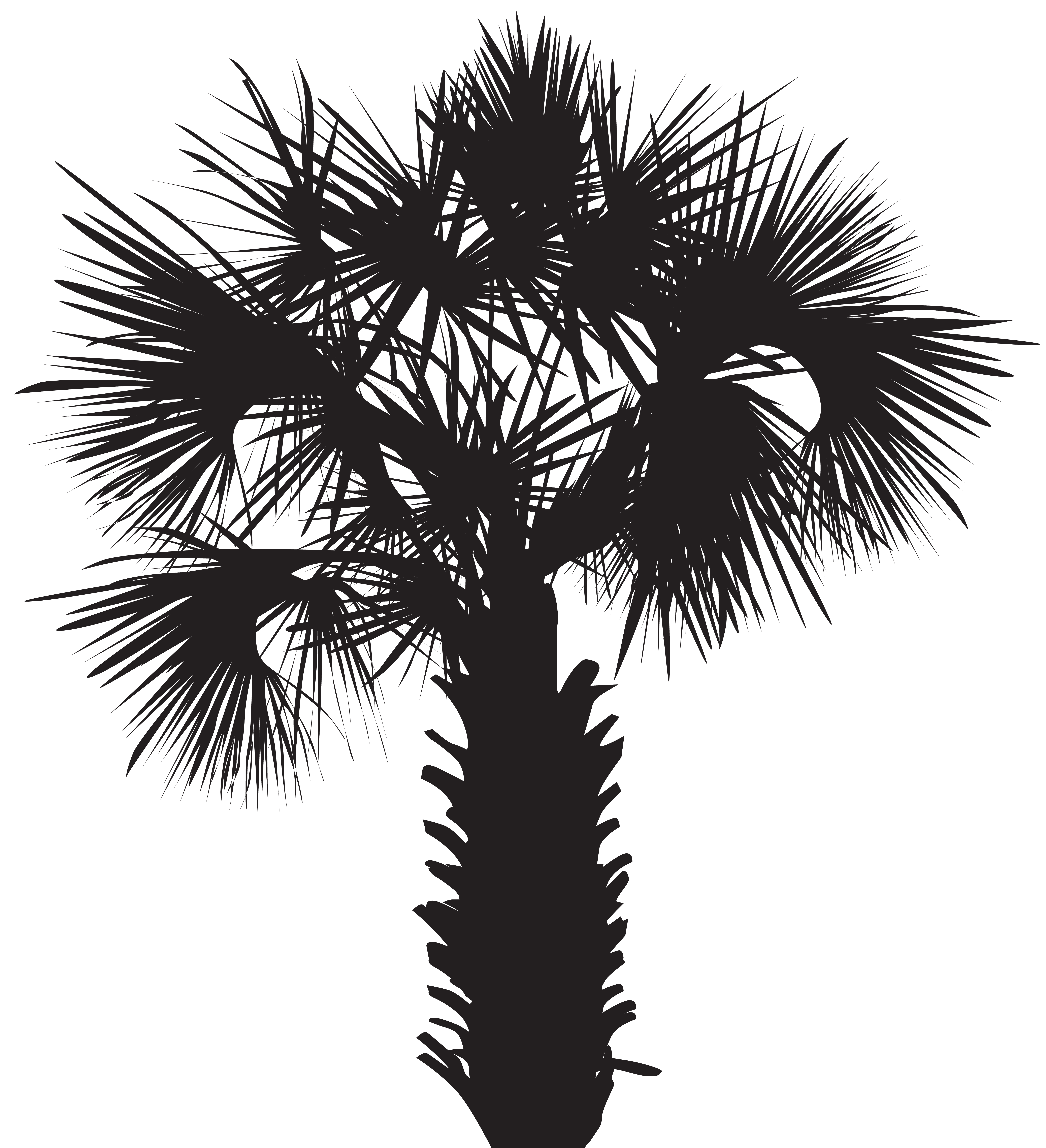 Palm Tree Silhouette Clip Art Png Image Gallery Yopriceville