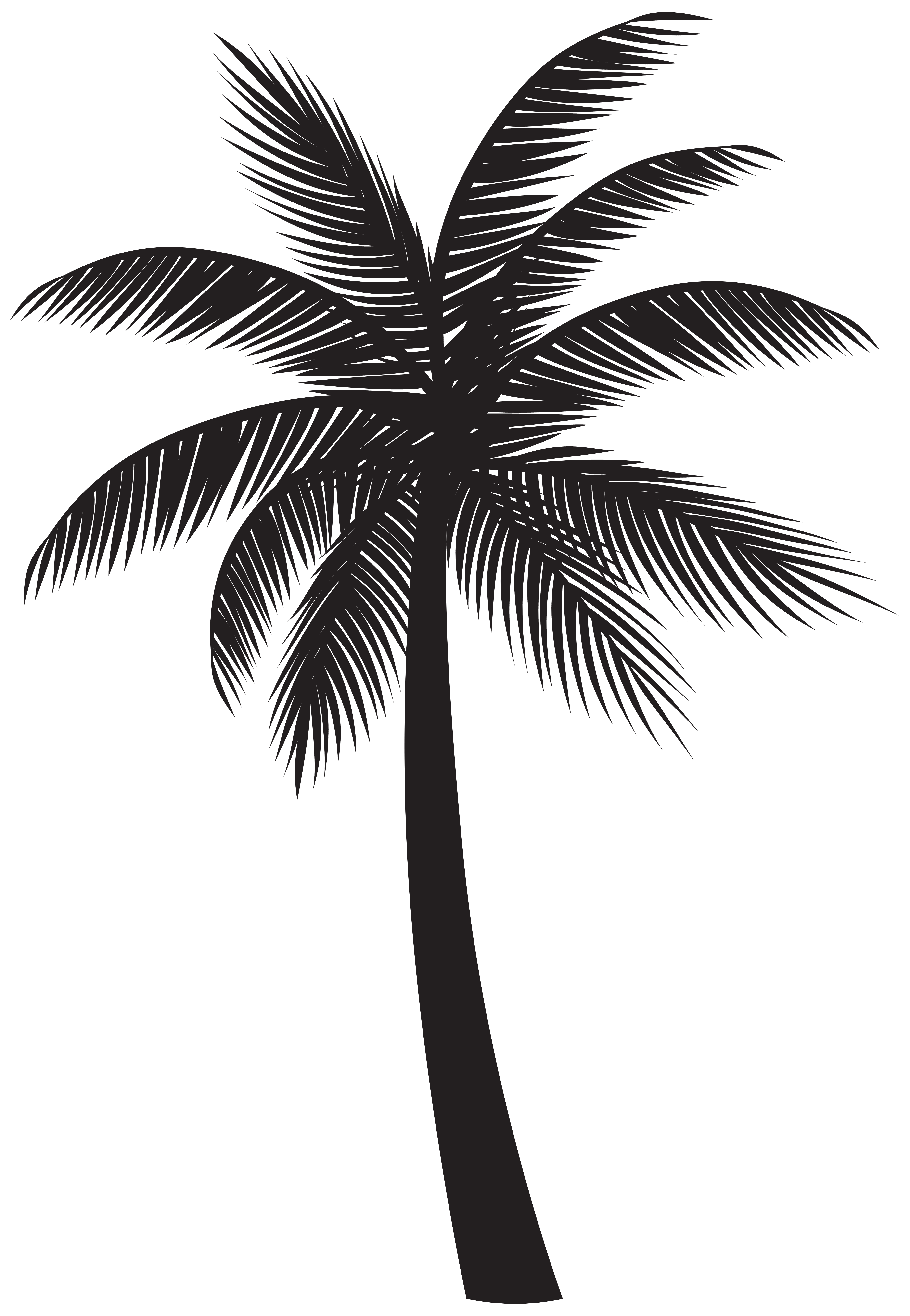 palm tree silhouette png