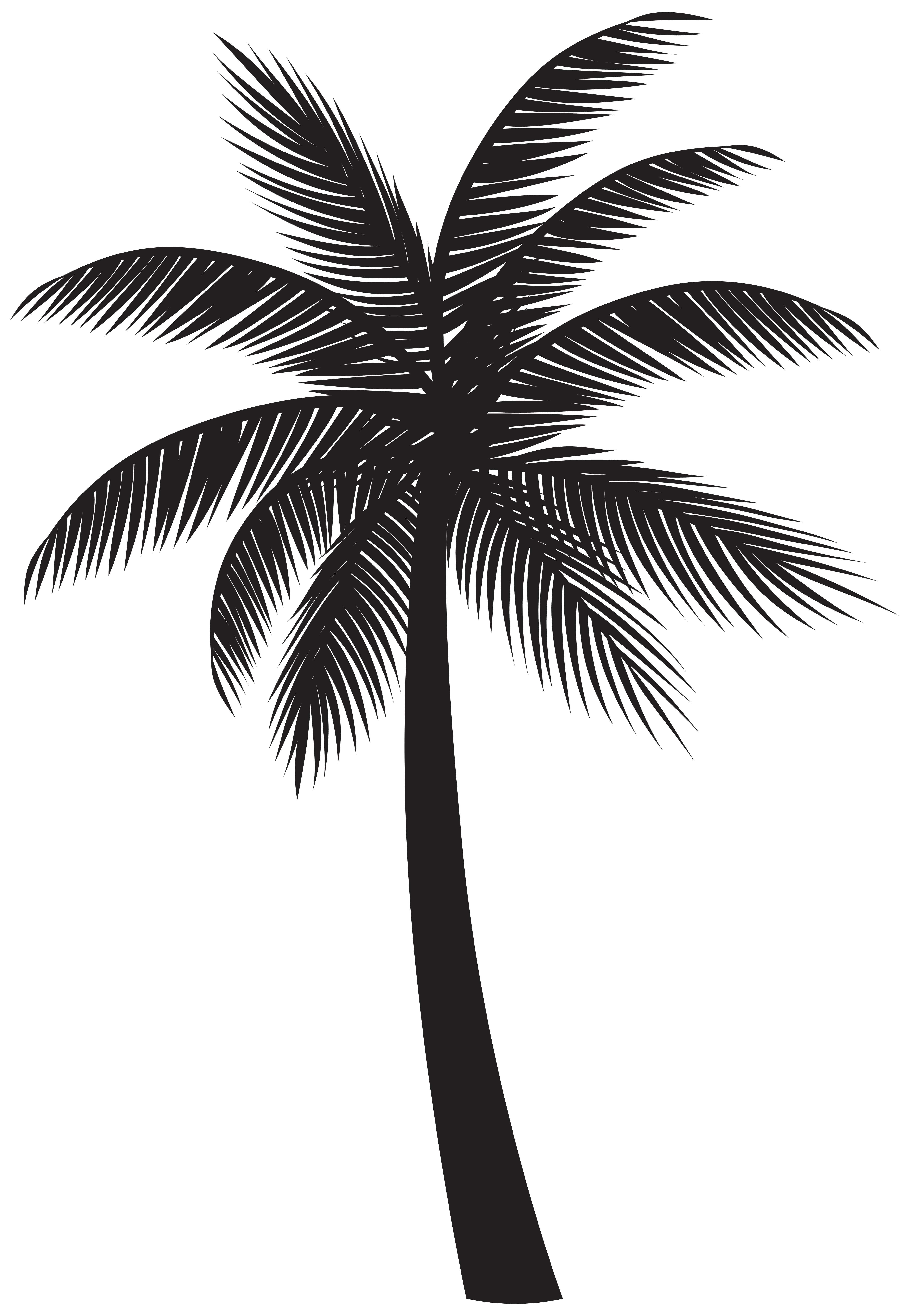 Palm Tree Silhouette PNG Transparent Clipart | Gallery Yopriceville