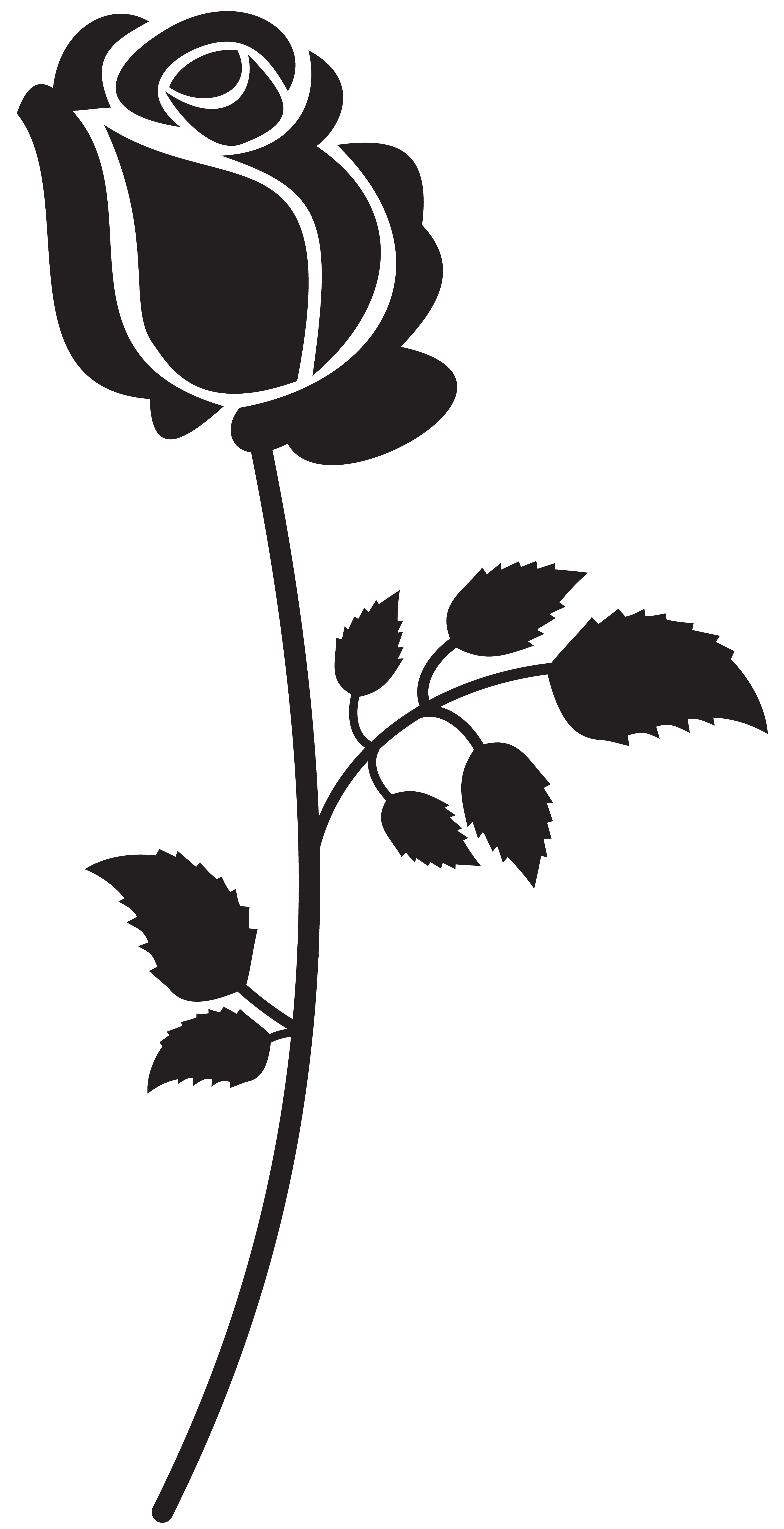 Free Rose Silhouette Transparent, Download Free Rose Silhouette