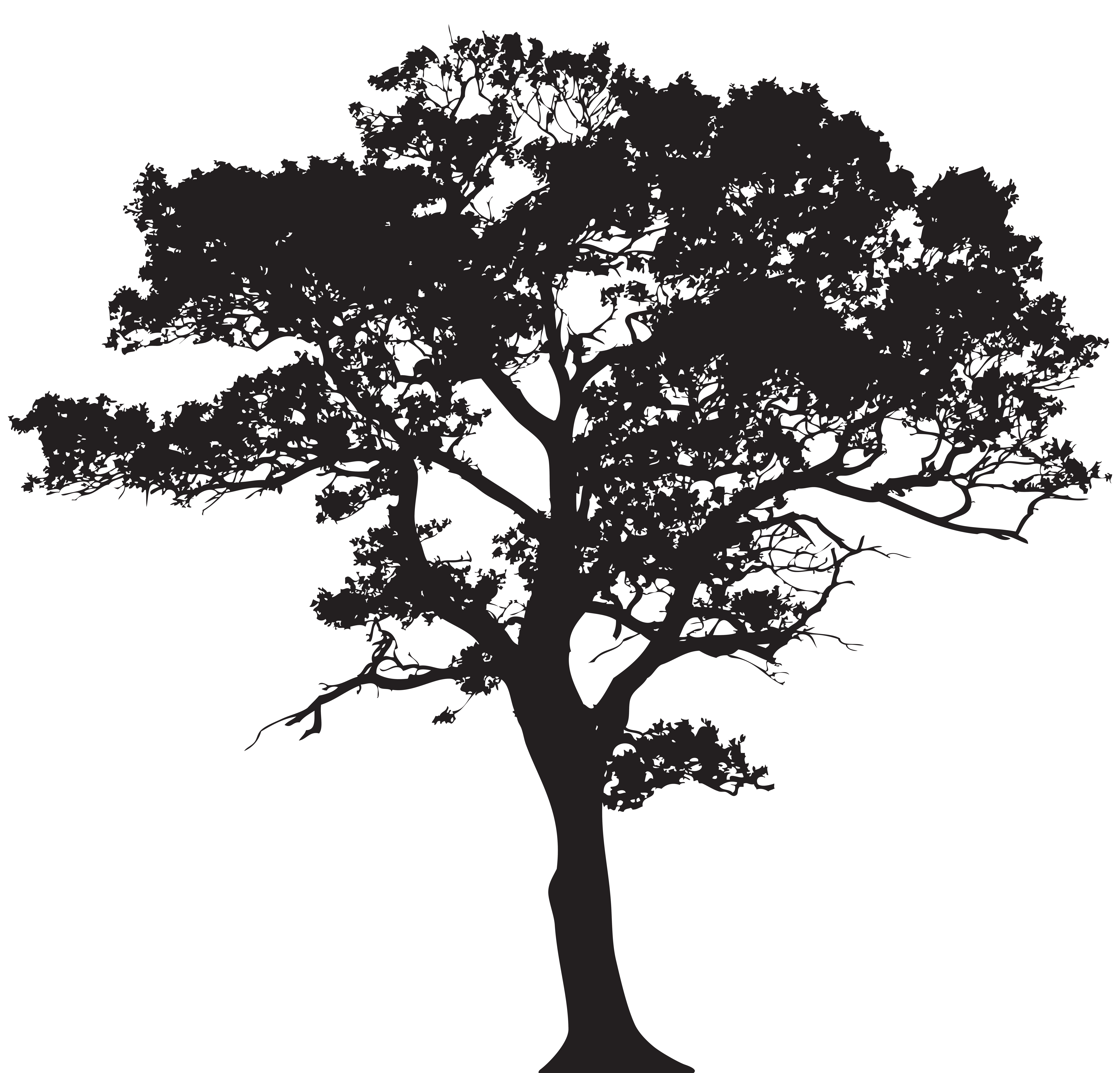 Silhouette Tree PNG Clip Art Image | Gallery Yopriceville - High