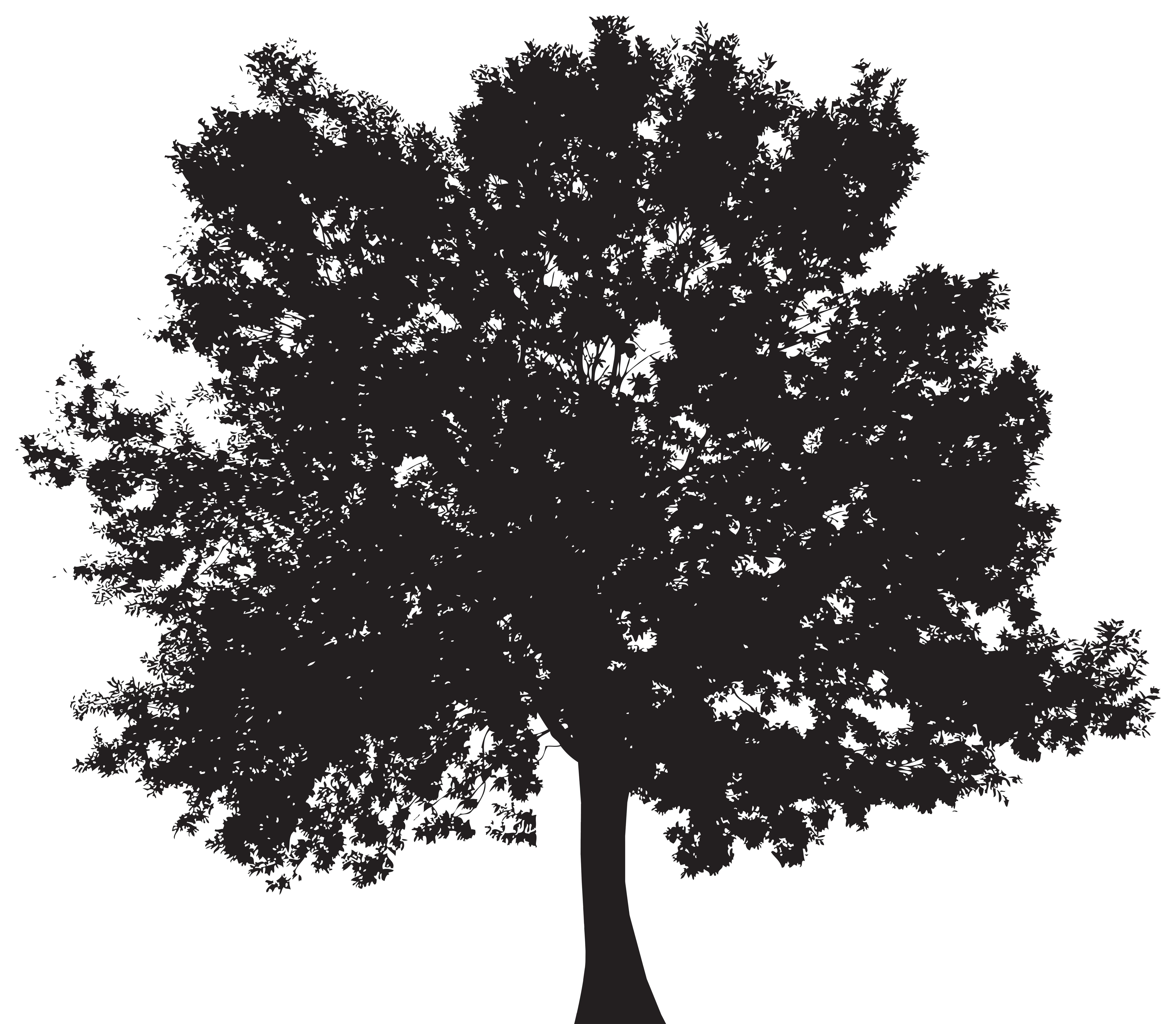 Silhouette Tree Royalty Free Clip Art Exotic Tree Sil - vrogue.co