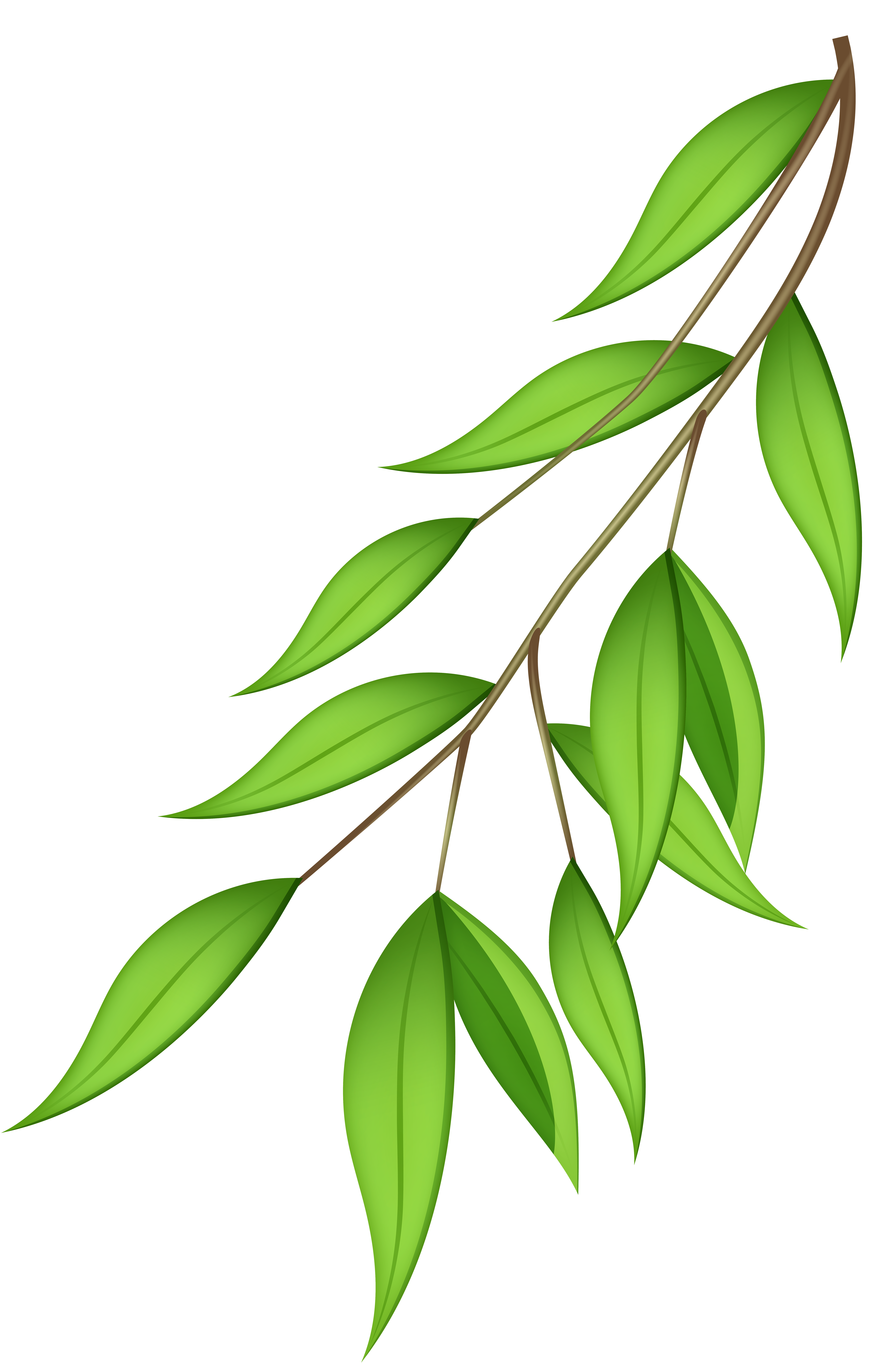 Green Branch PNG Transparent Clip Art Image | Gallery ...