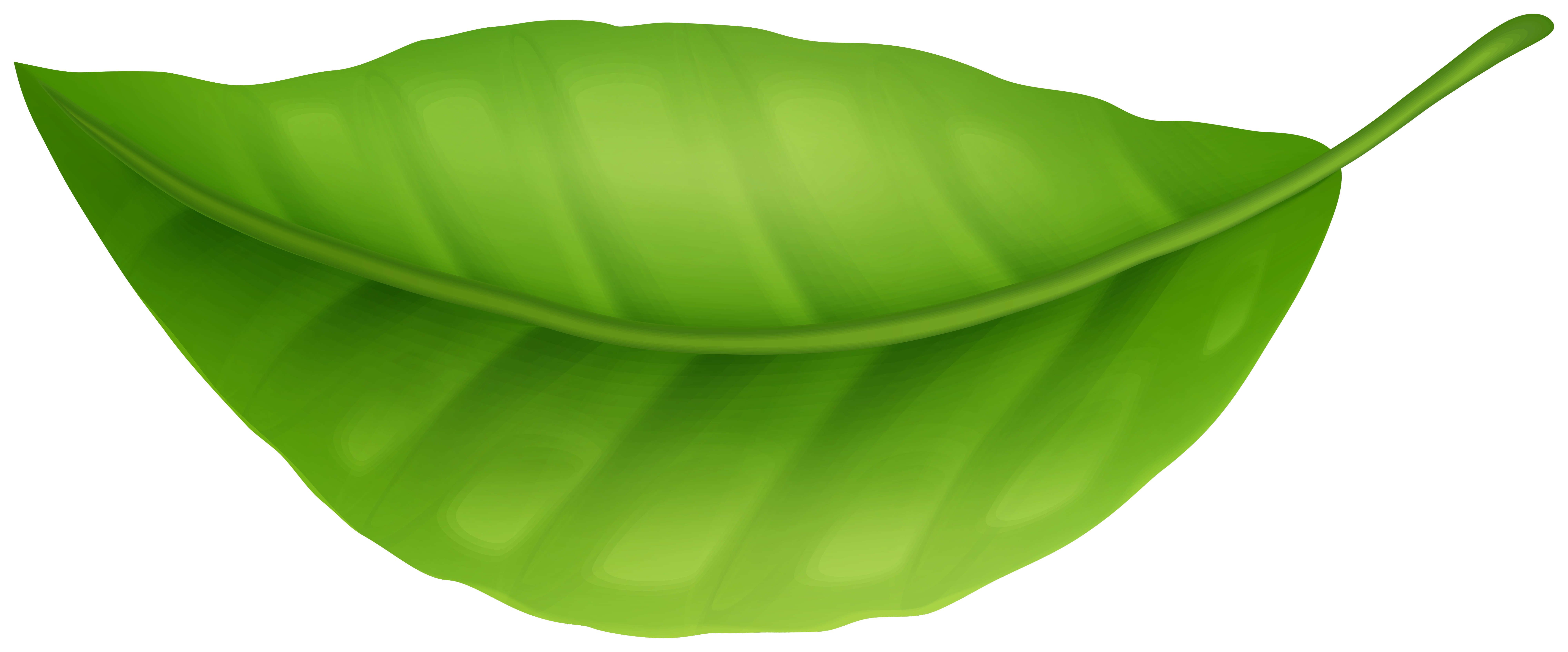 Green Leaf Png Clipart Gallery Yopriceville High Quality Images And Transparent Png Free Clipart