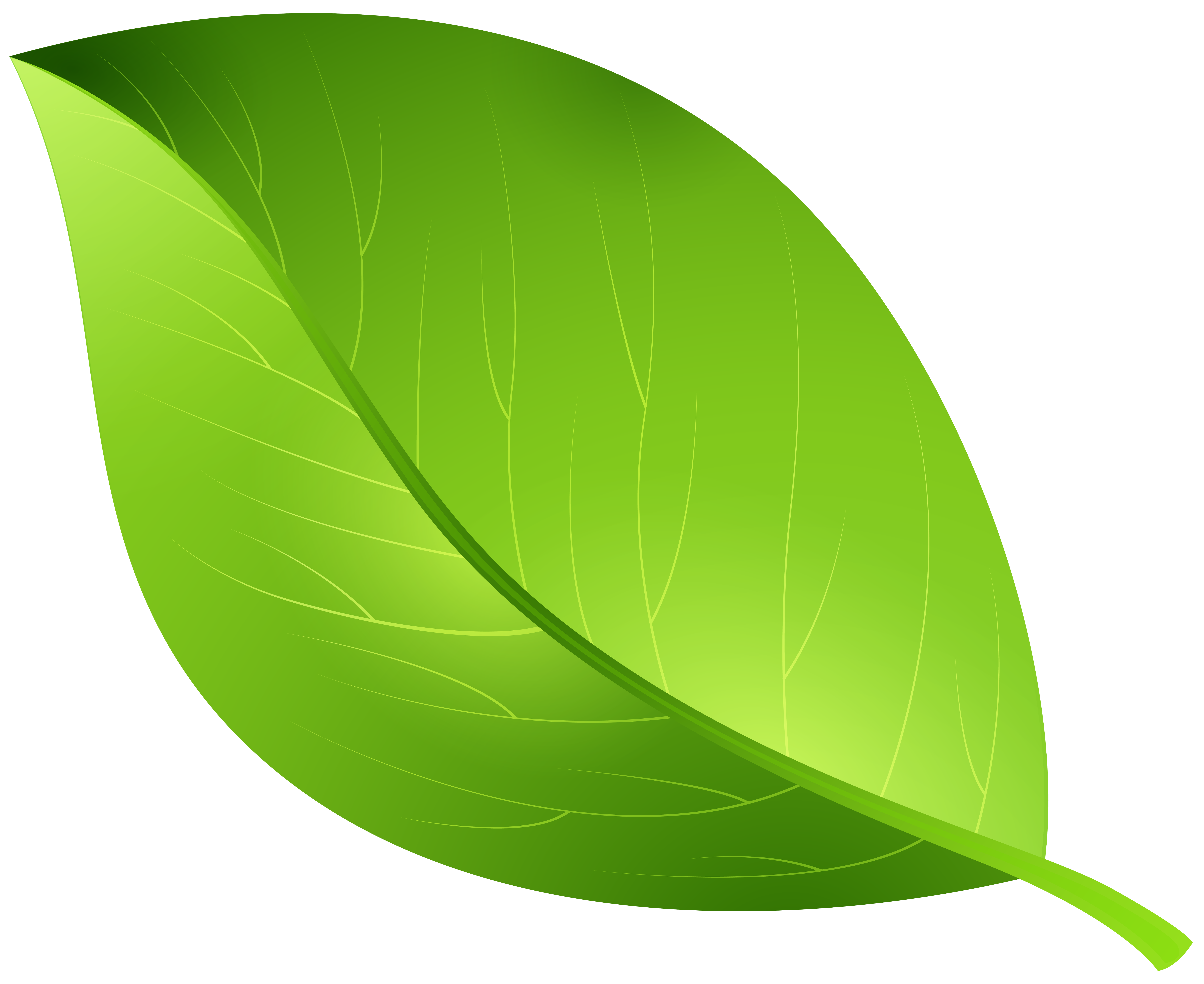 Green Leaf Transparent PNG Clip Art Image Gallery Yopriceville High Green Leaf Transparent PNG Clip Art Image Gallery Yopriceville High