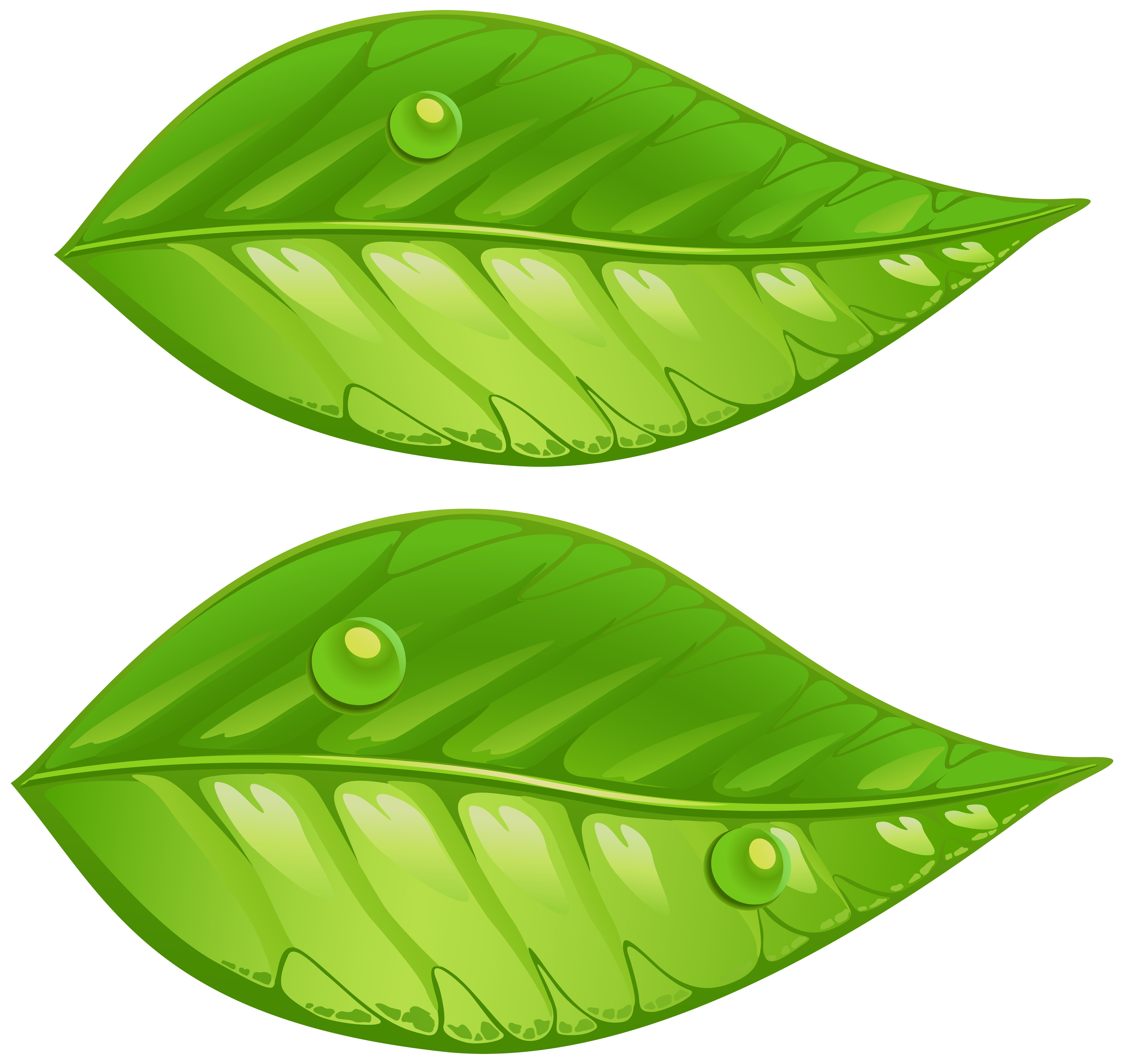 Green Leaves PNG Transparent Clip Art Image​ | Gallery Yopriceville -  High-Quality Free Images and Transparent PNG Clipart