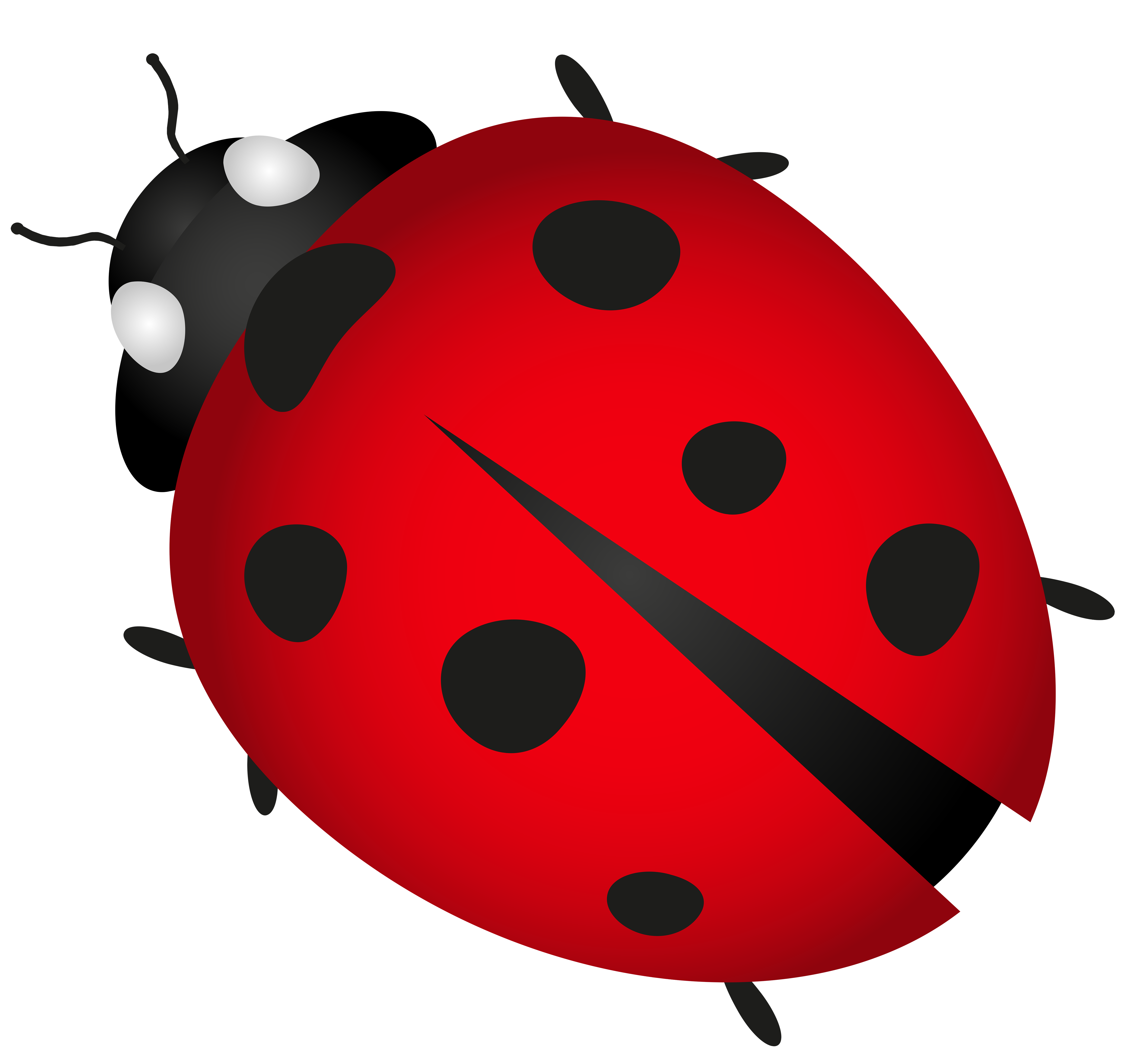 Lady Bug Transparent Png Clip Art Image Gallery Yopriceville High Quality Images And Transparent Png Free Clipart